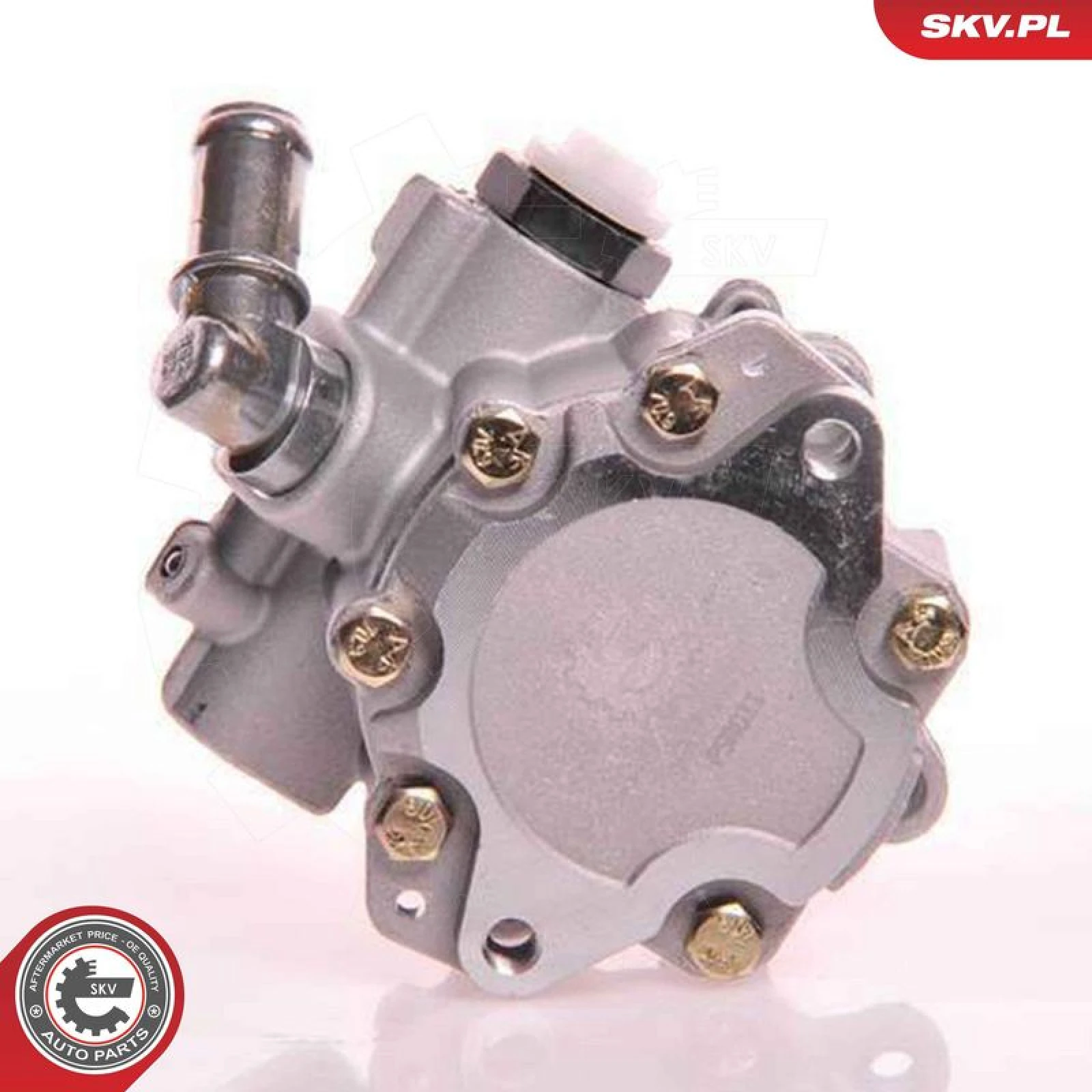 SKV GERMANY Hydraulikpumpe 10SKV105