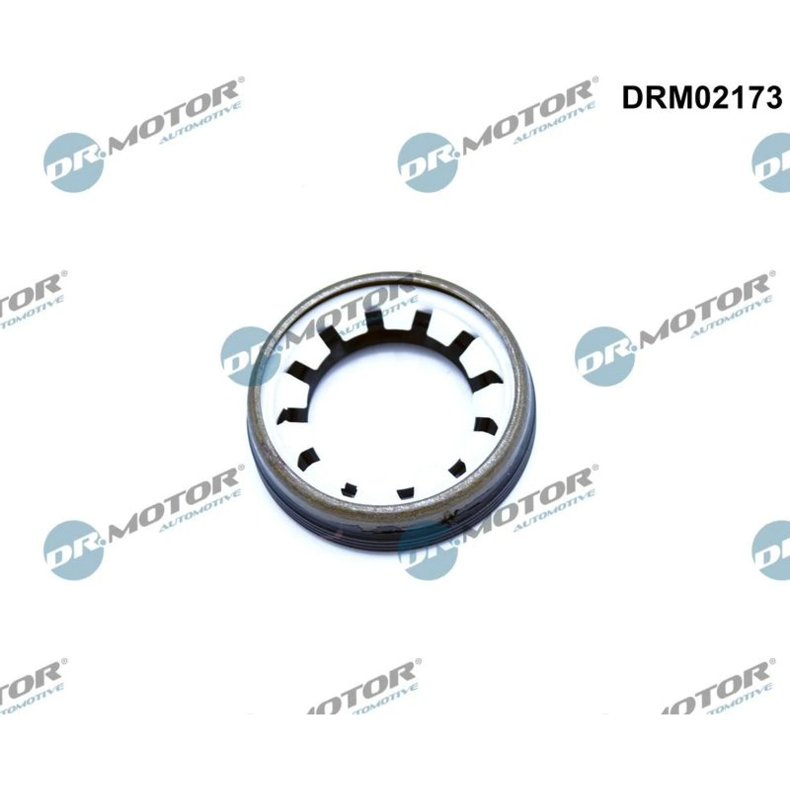 WELLENDICHTRING, DIFFERENTIAL DRM02173
