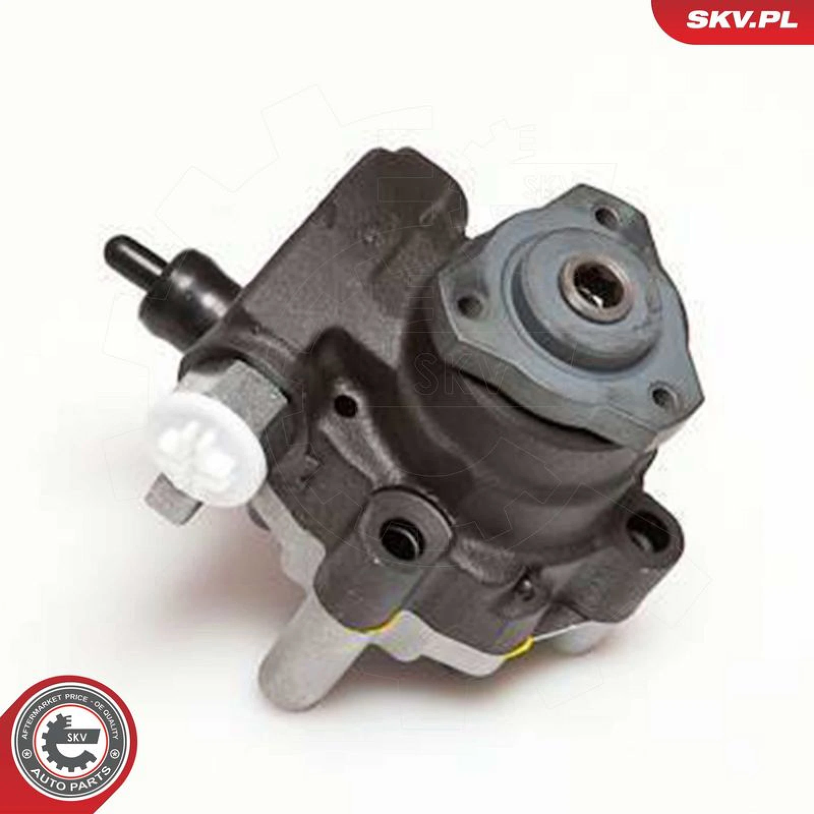 SKV GERMANY Hydraulikpumpe 10SKV094