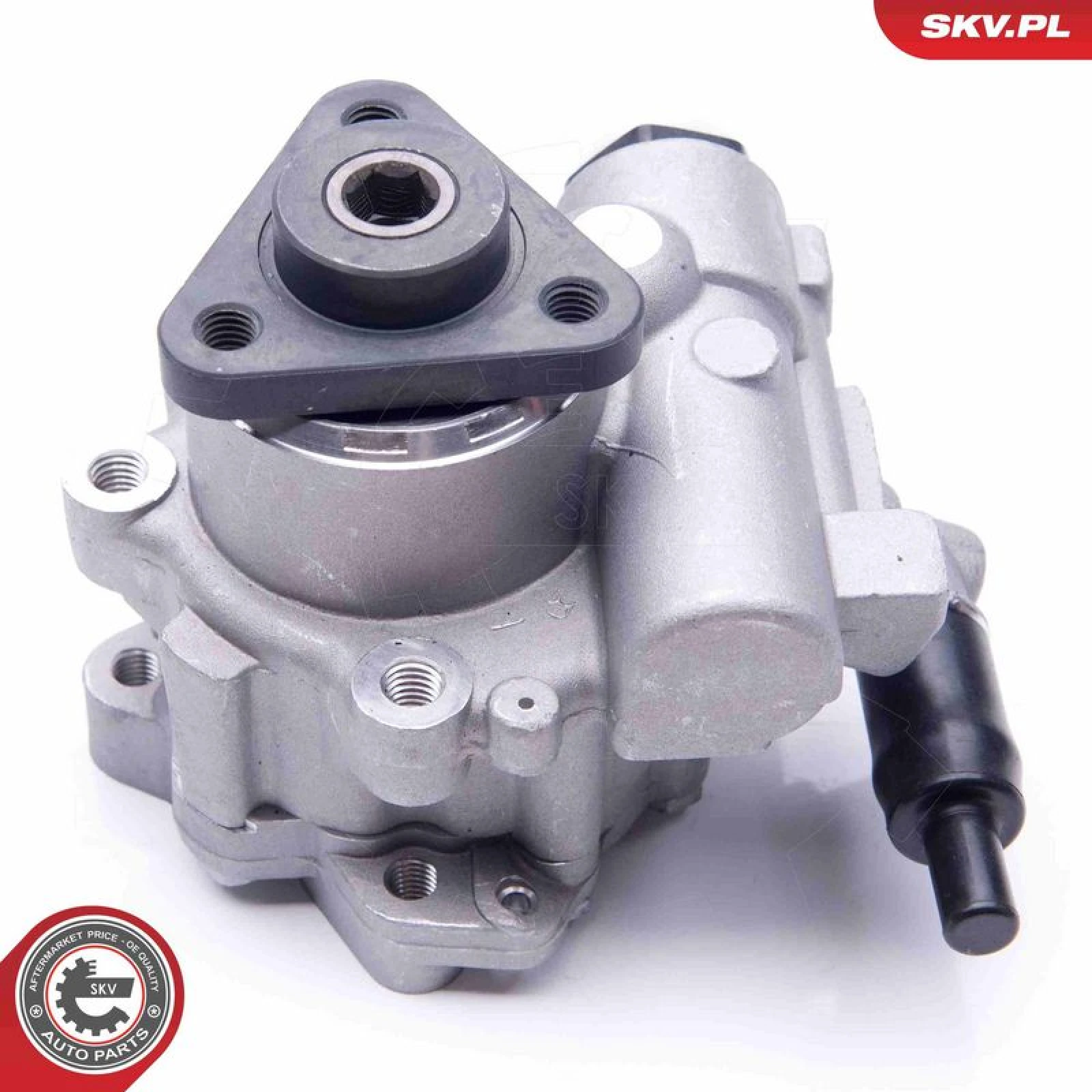 SKV GERMANY Hydraulikpumpe 10SKV196