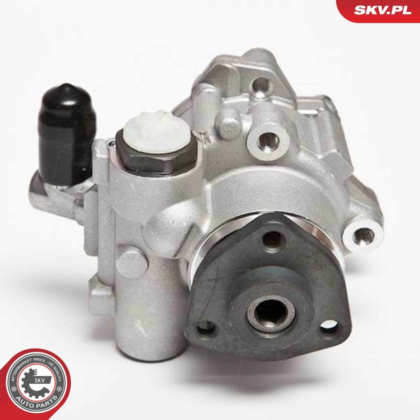 SKV GERMANY Hydraulikpumpe 10SKV043
