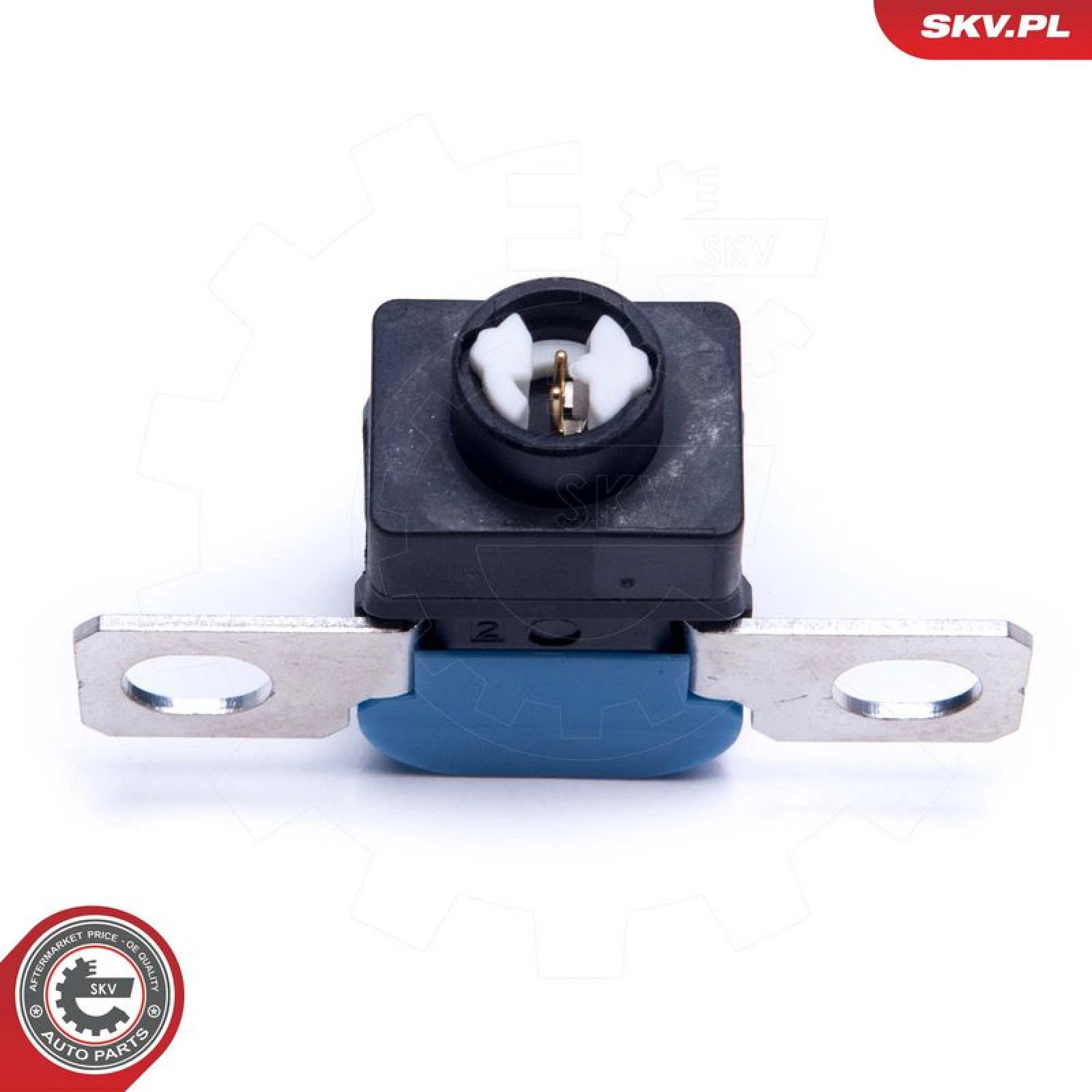 ESEN SKV Sensor, Batteriemanagement 96SKV317