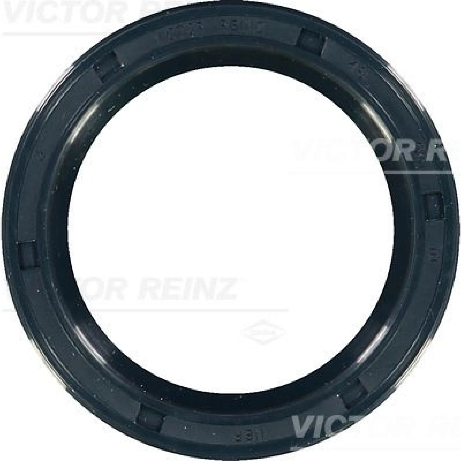 Wellendichtring Kurbelwelle 81-17404-00