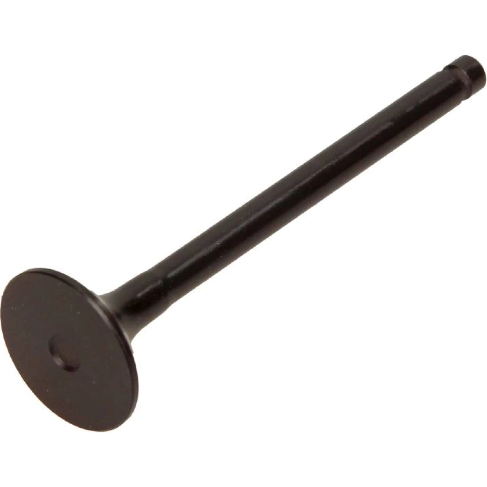 Auslassventil R6039/RNT