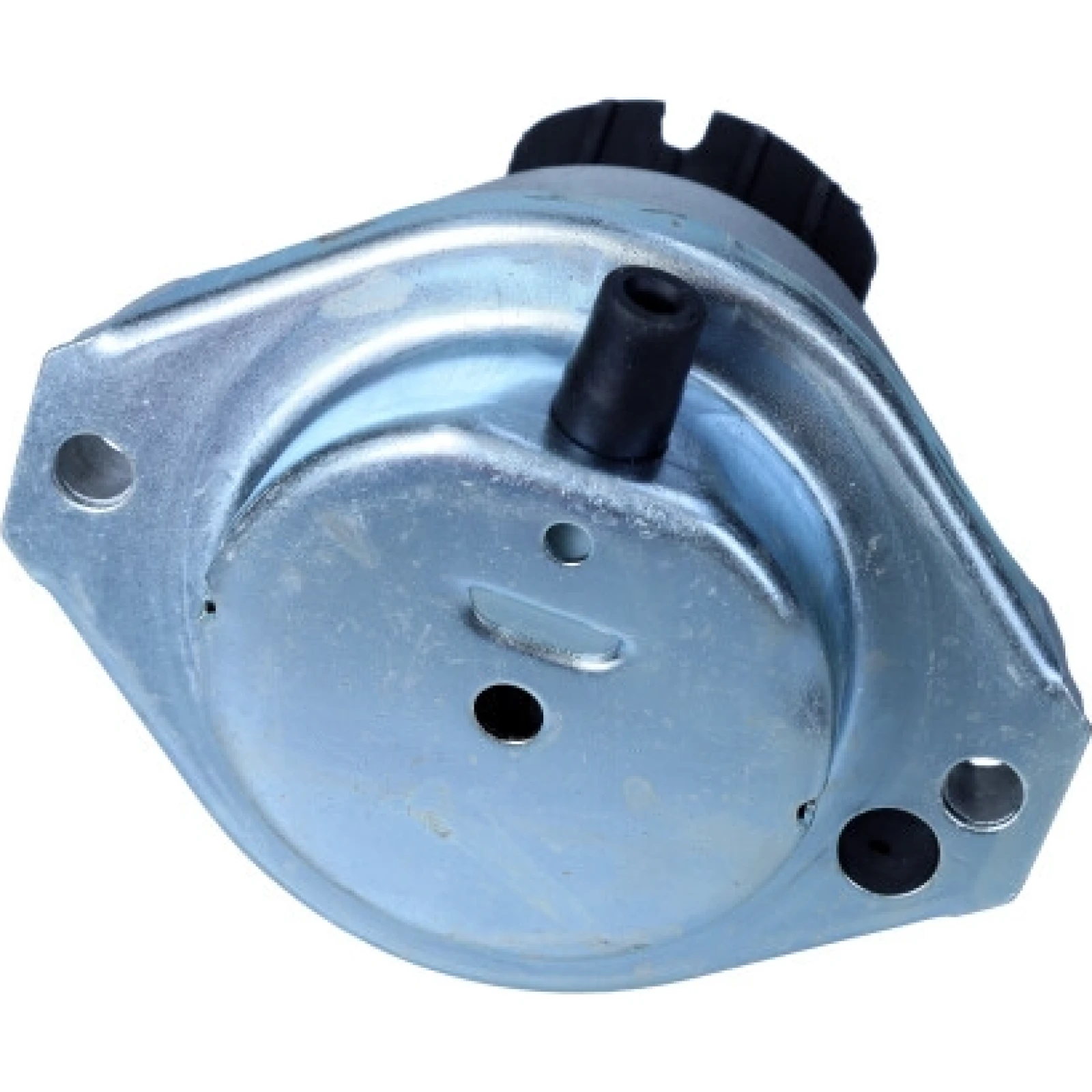Lagerung, Motor 80004415