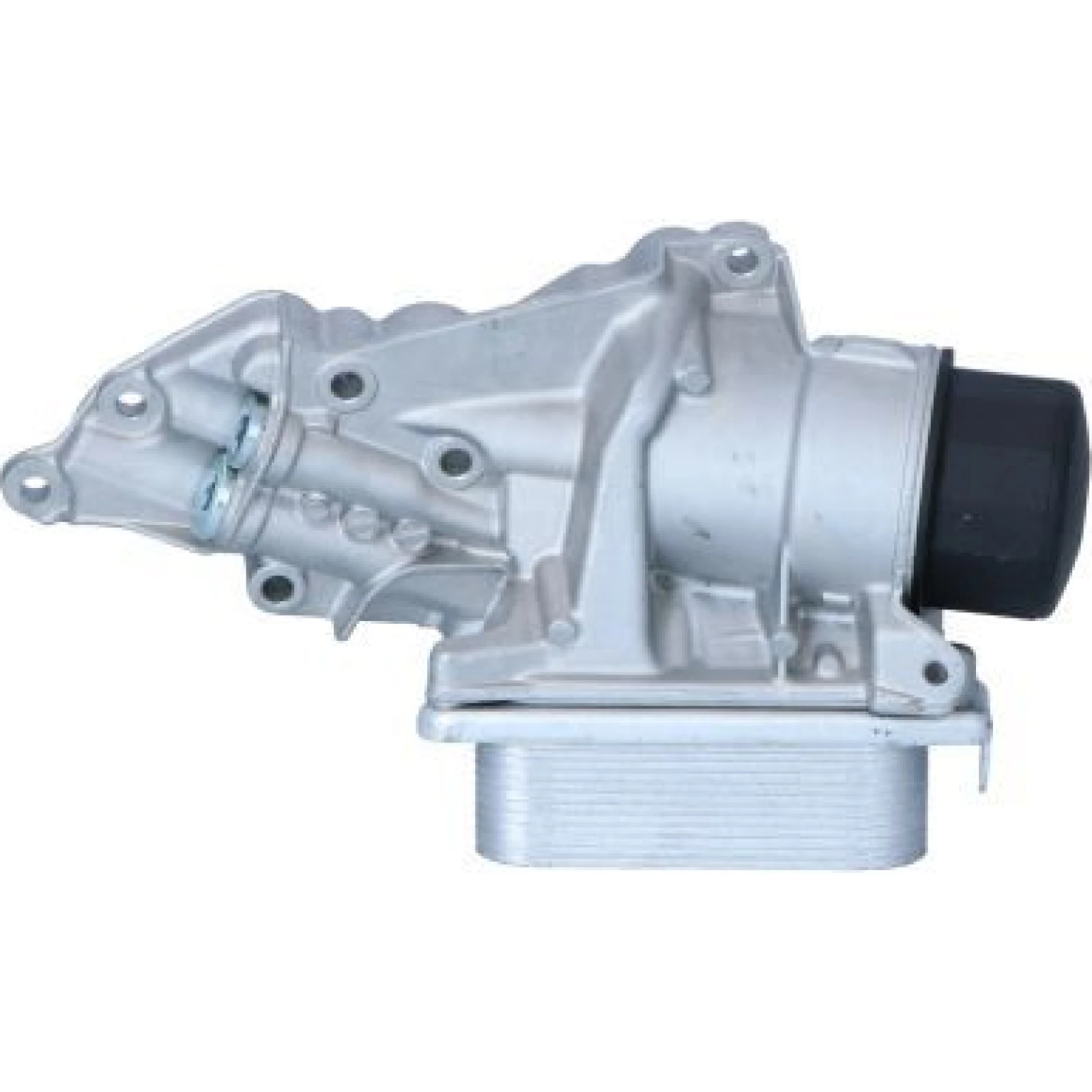 Ölkühler, Motor“L 31351