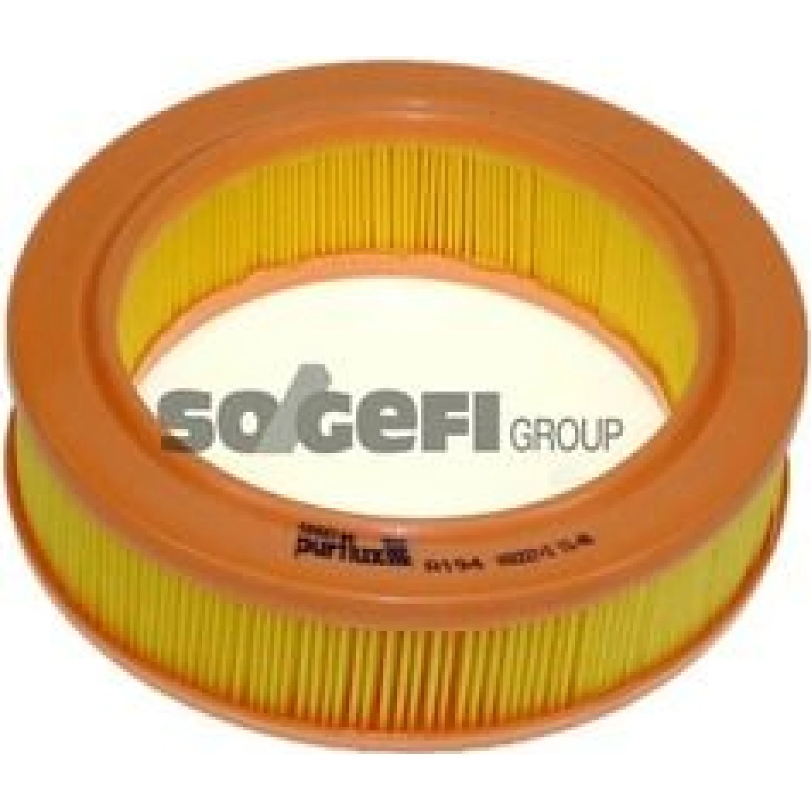 PURFLUX Luftfilter A194