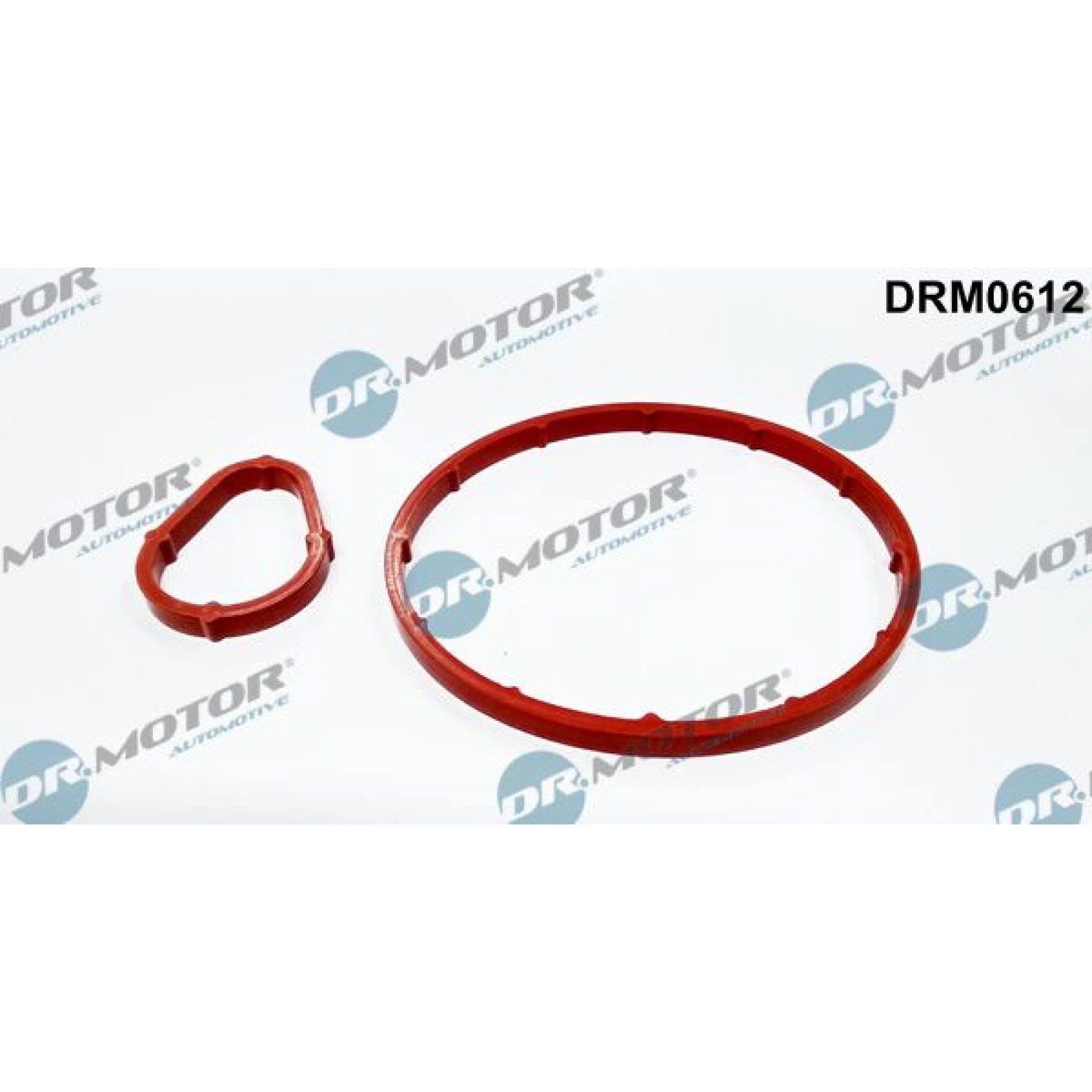 Dichtungssatz, Unterdruckpumpe DRM0612