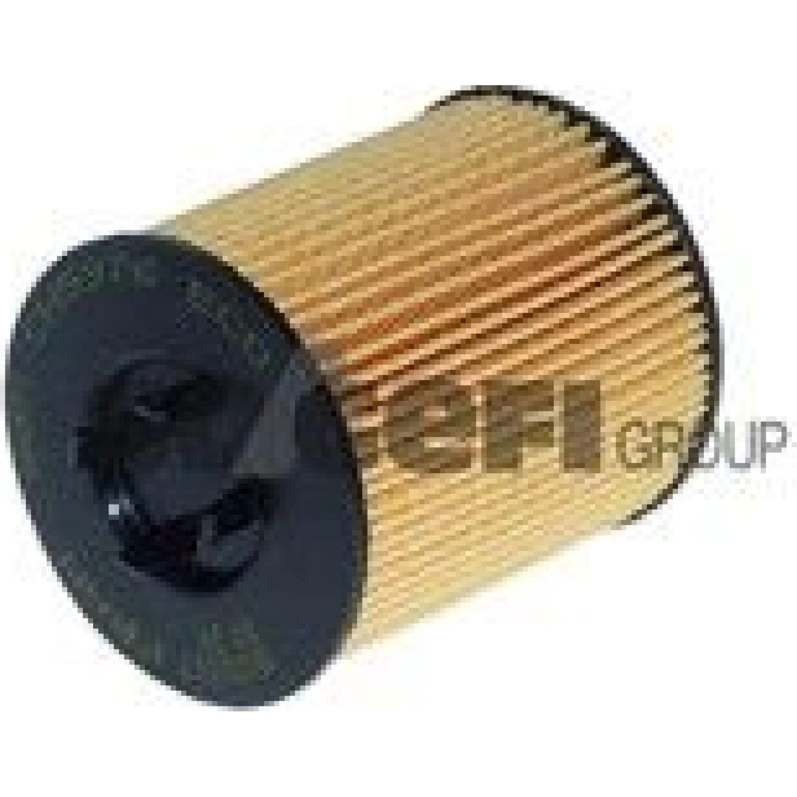 FRAM Ölfilter CH5976ECO
