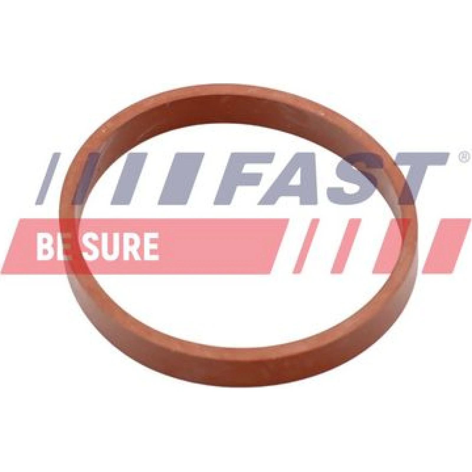 FAST Dichtung, Ansaugkrümmer FT49418