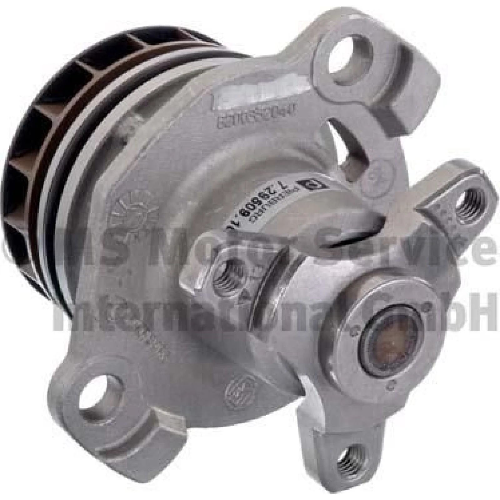 PIERBURG Wasserpumpe 7.29509.10.0