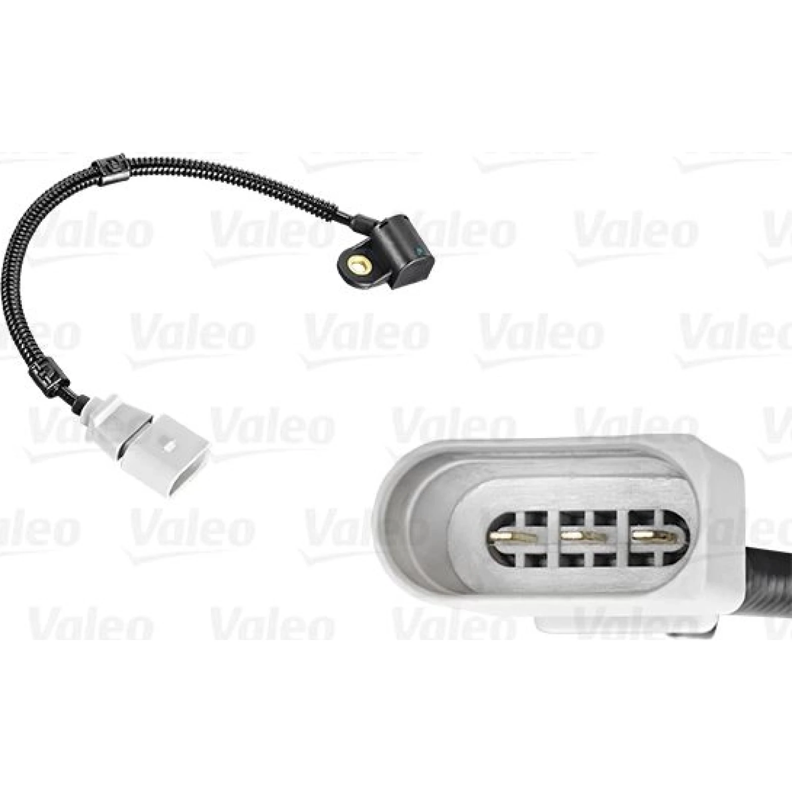 Sensor, Nockenwellenposition 253821