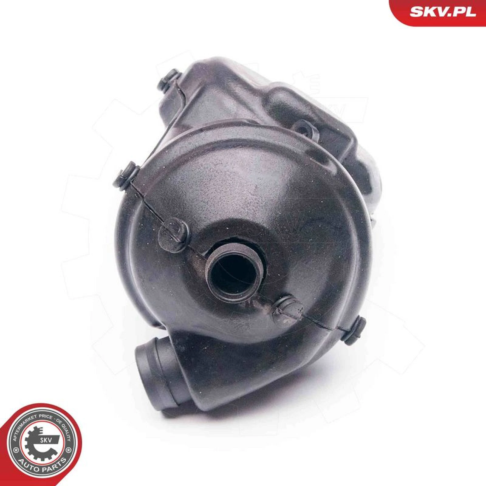 SKV GERMANY Reparatursatz, Kurbelgehäuseentlüftung 31SKV045