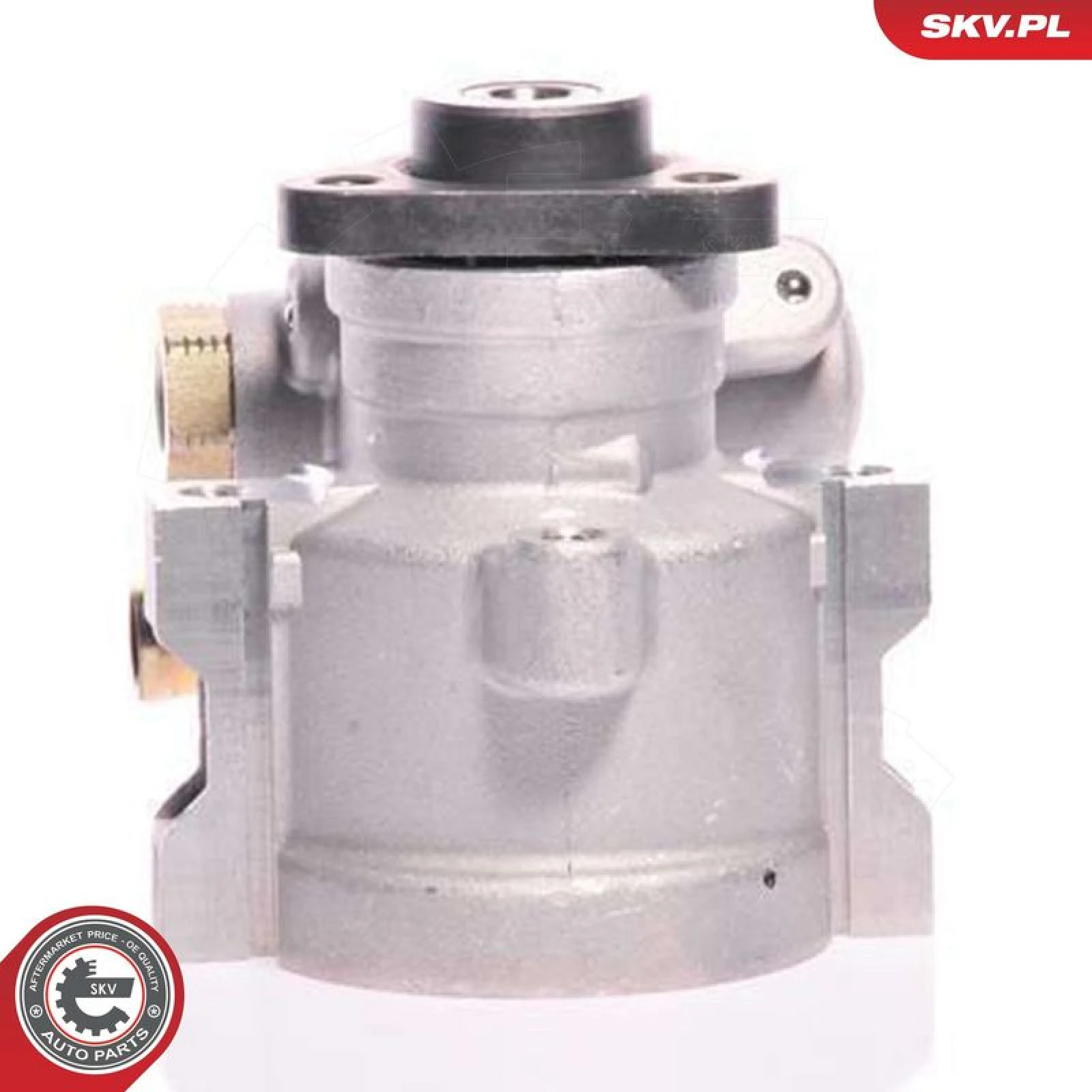SKV GERMANY Hydraulikpumpe 10SKV130