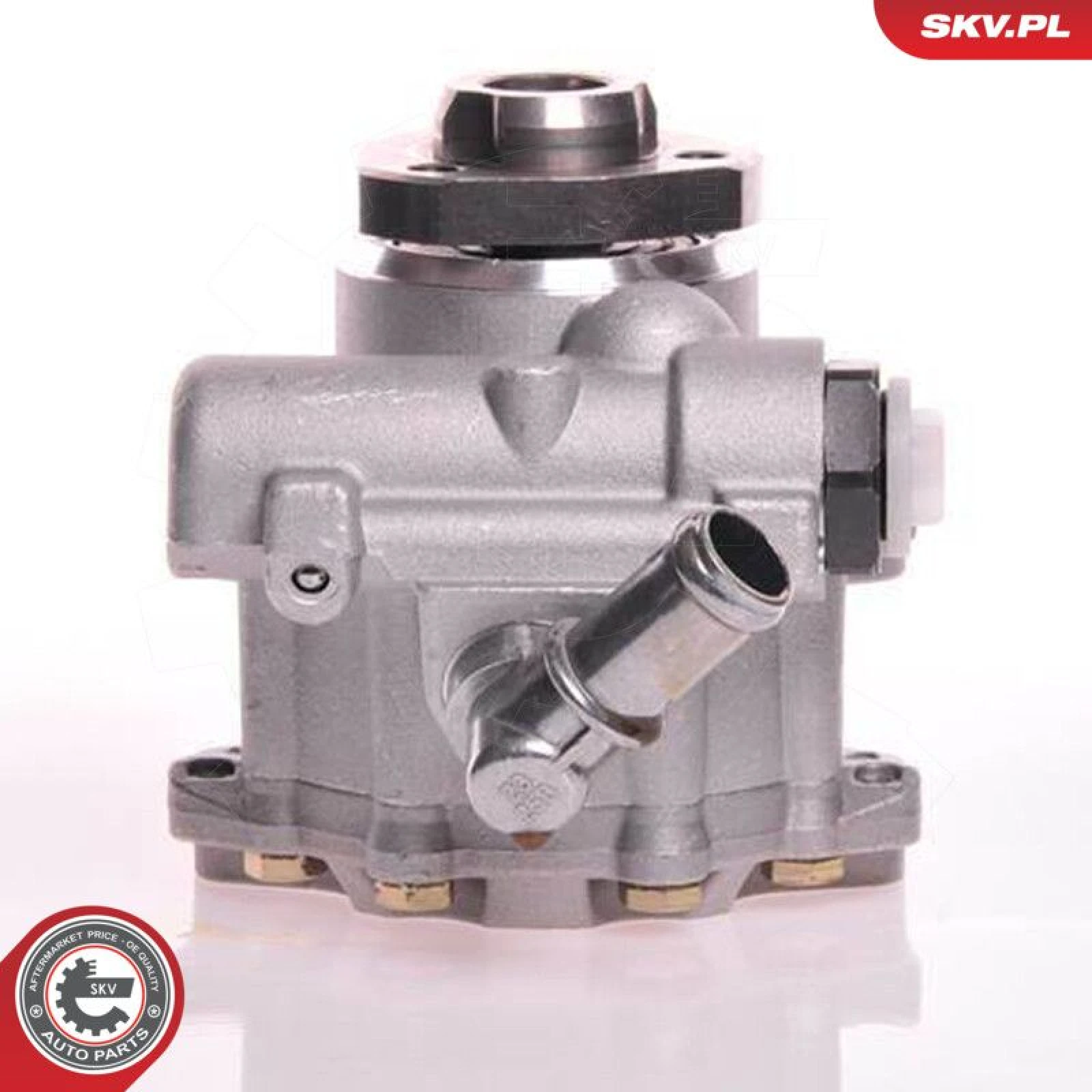 SKV GERMANY Hydraulikpumpe 10SKV105