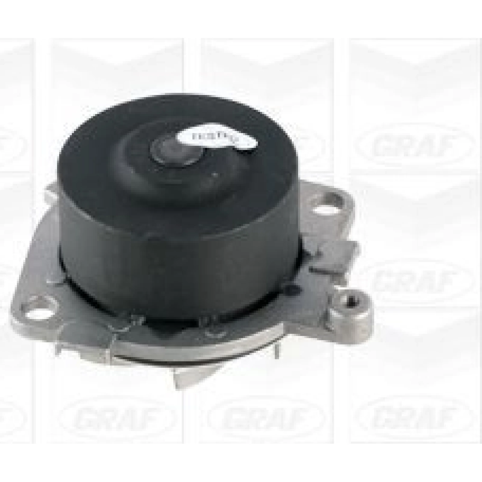 PA 621 Wasserpumpe PA621