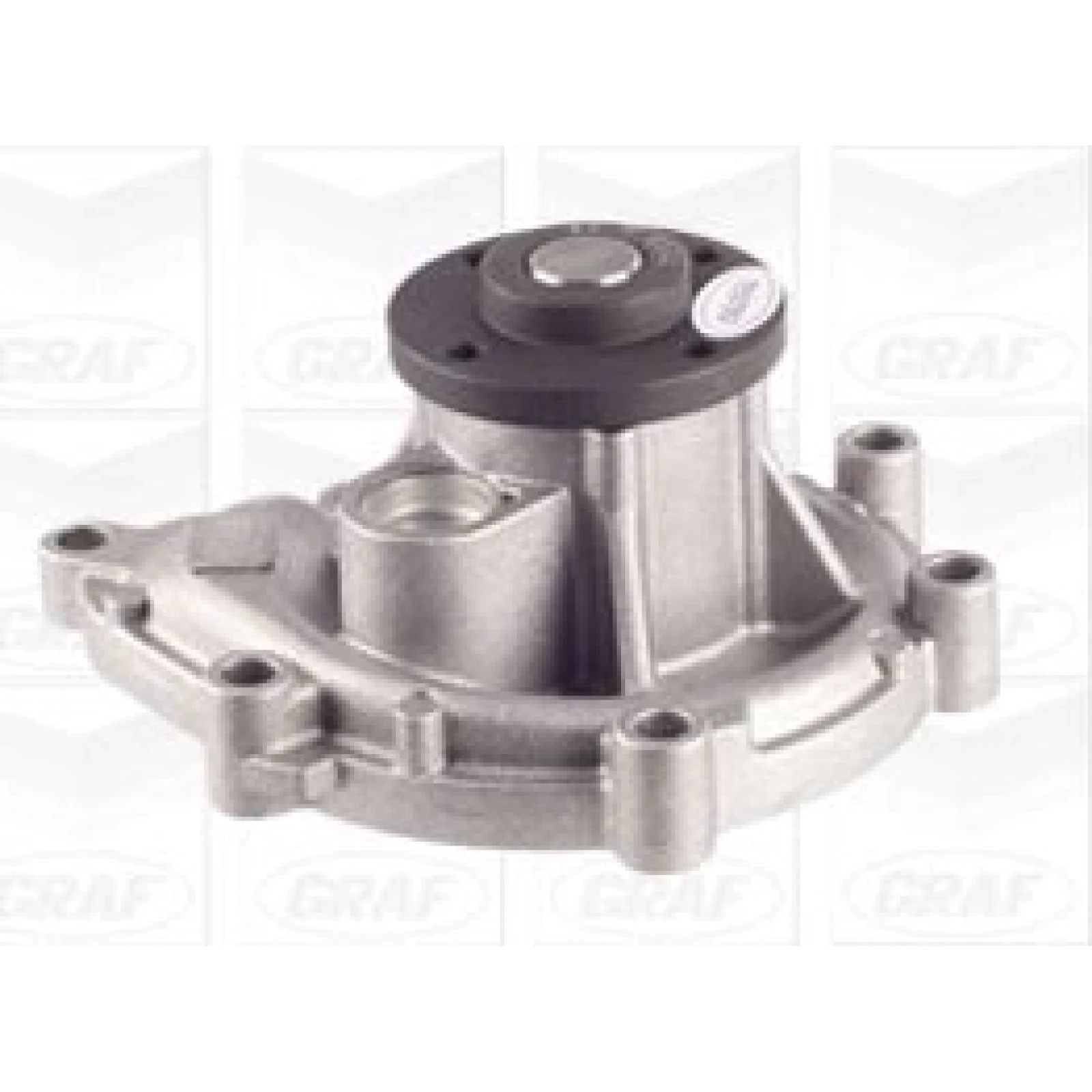 PA 1111 Wasserpumpe PA1111