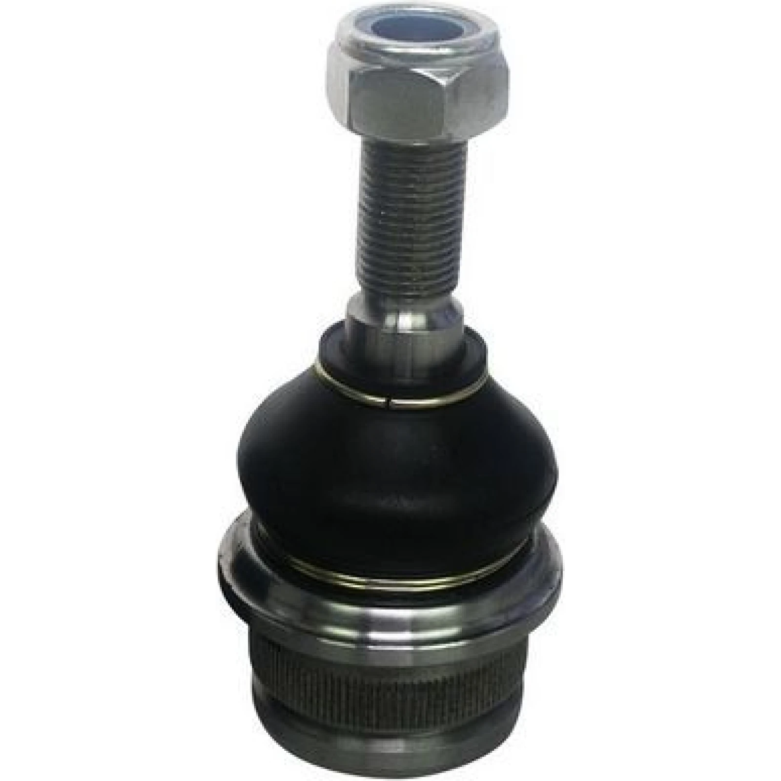 DENCKERMANN Schulterklopfen D110010