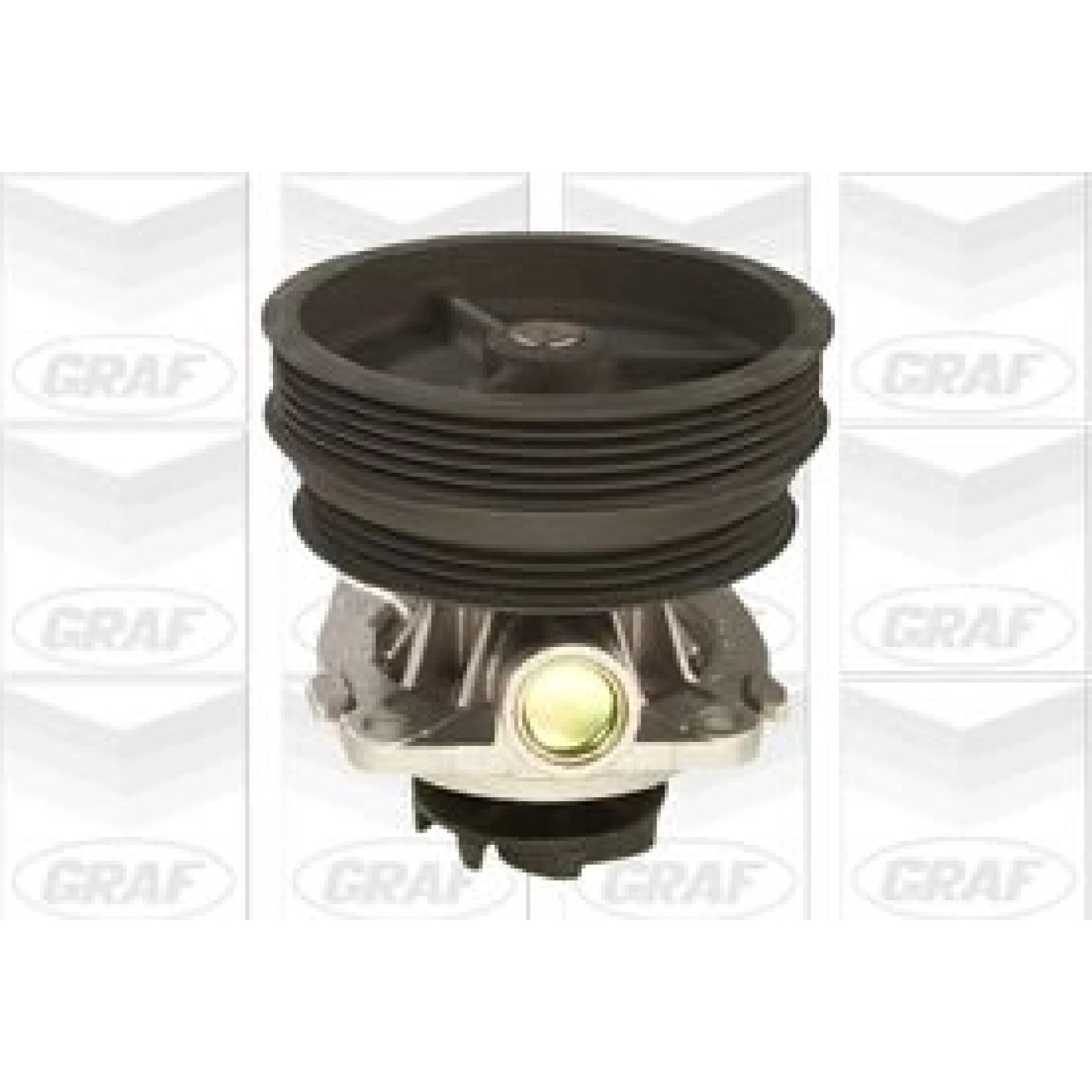 PA 620 Wasserpumpe PA620