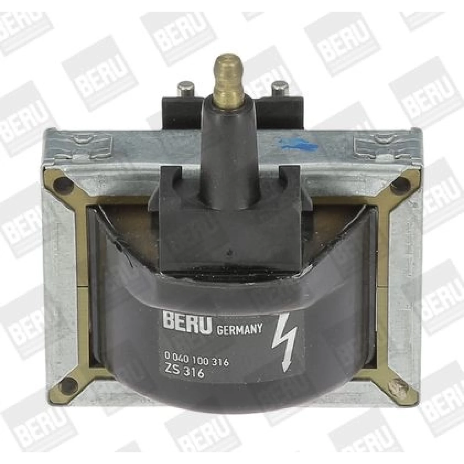 BorgWarner (BERU) Zündspule ZS316