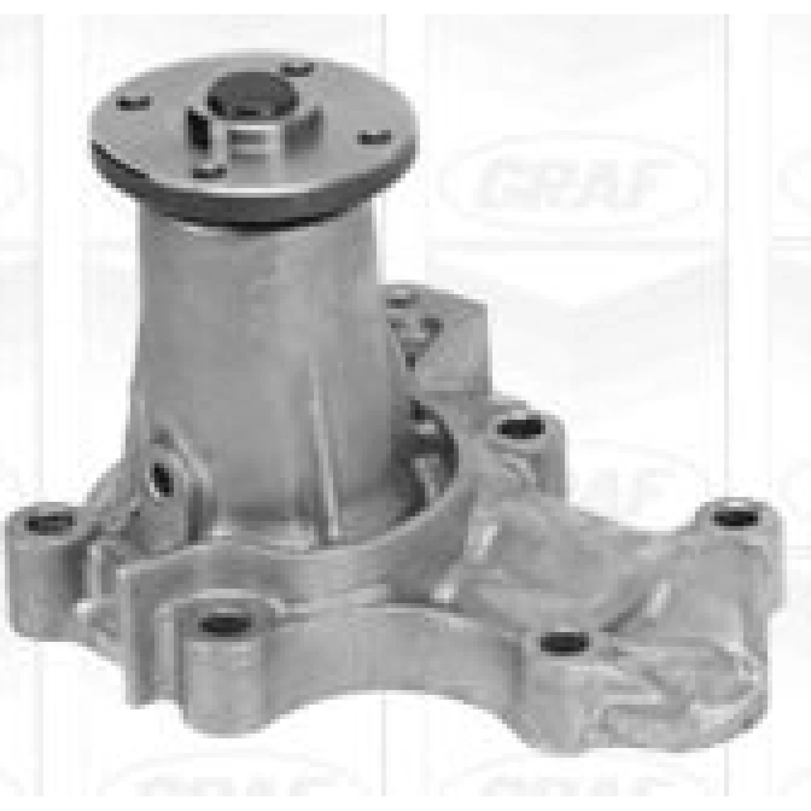 PA 1009 Wasserpumpe PA1009