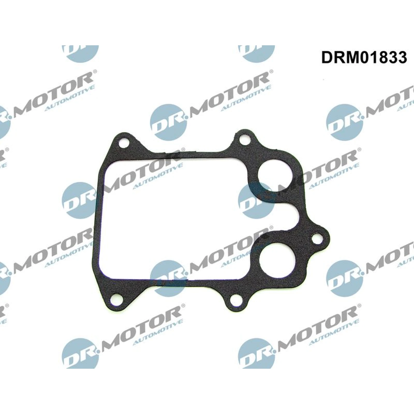 Dichtung, Ílkühler DRM01833