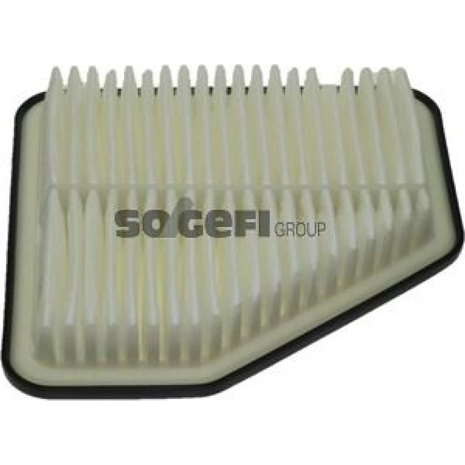 FRAM Luftfilter CA10169