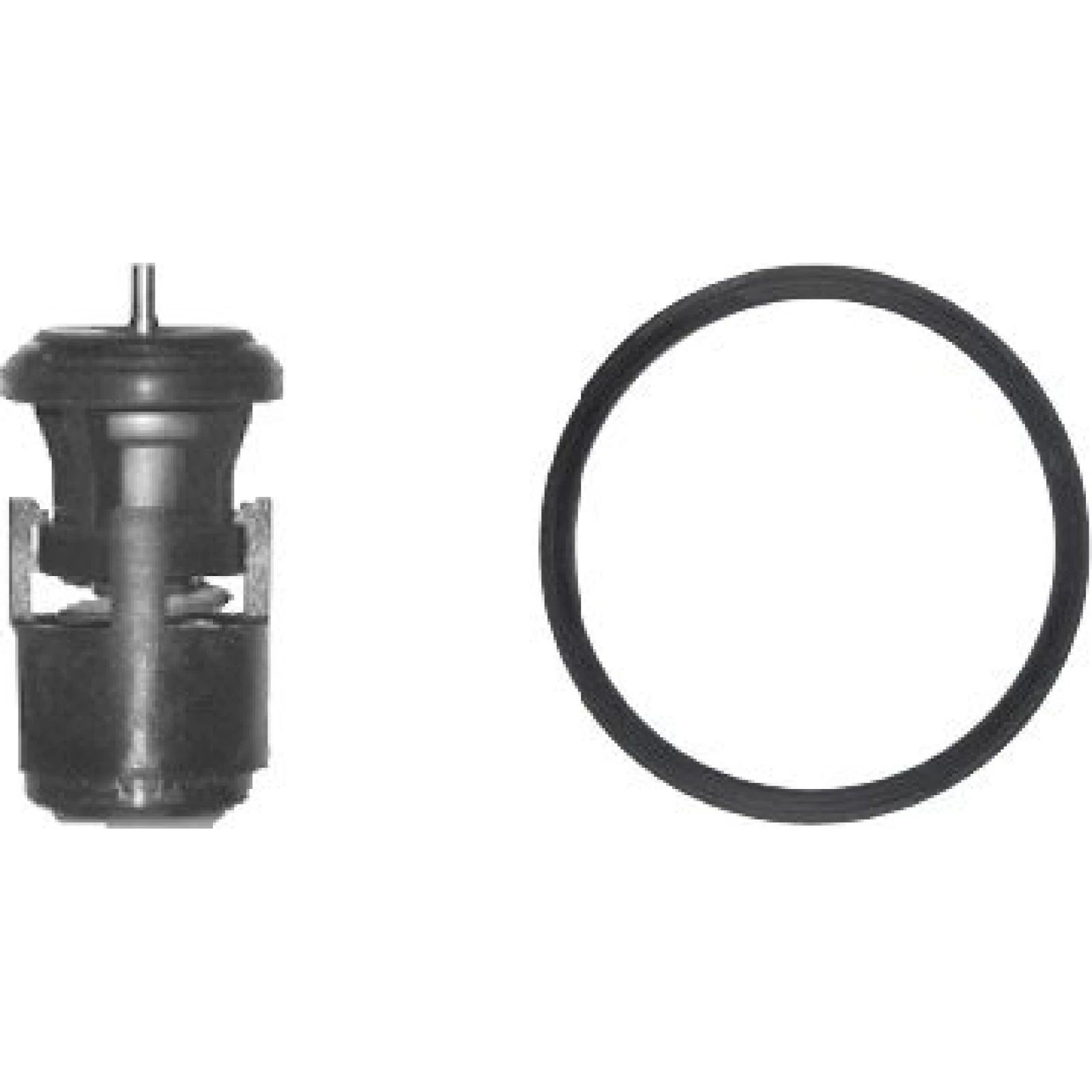 Gates Thermostat TH14780G1