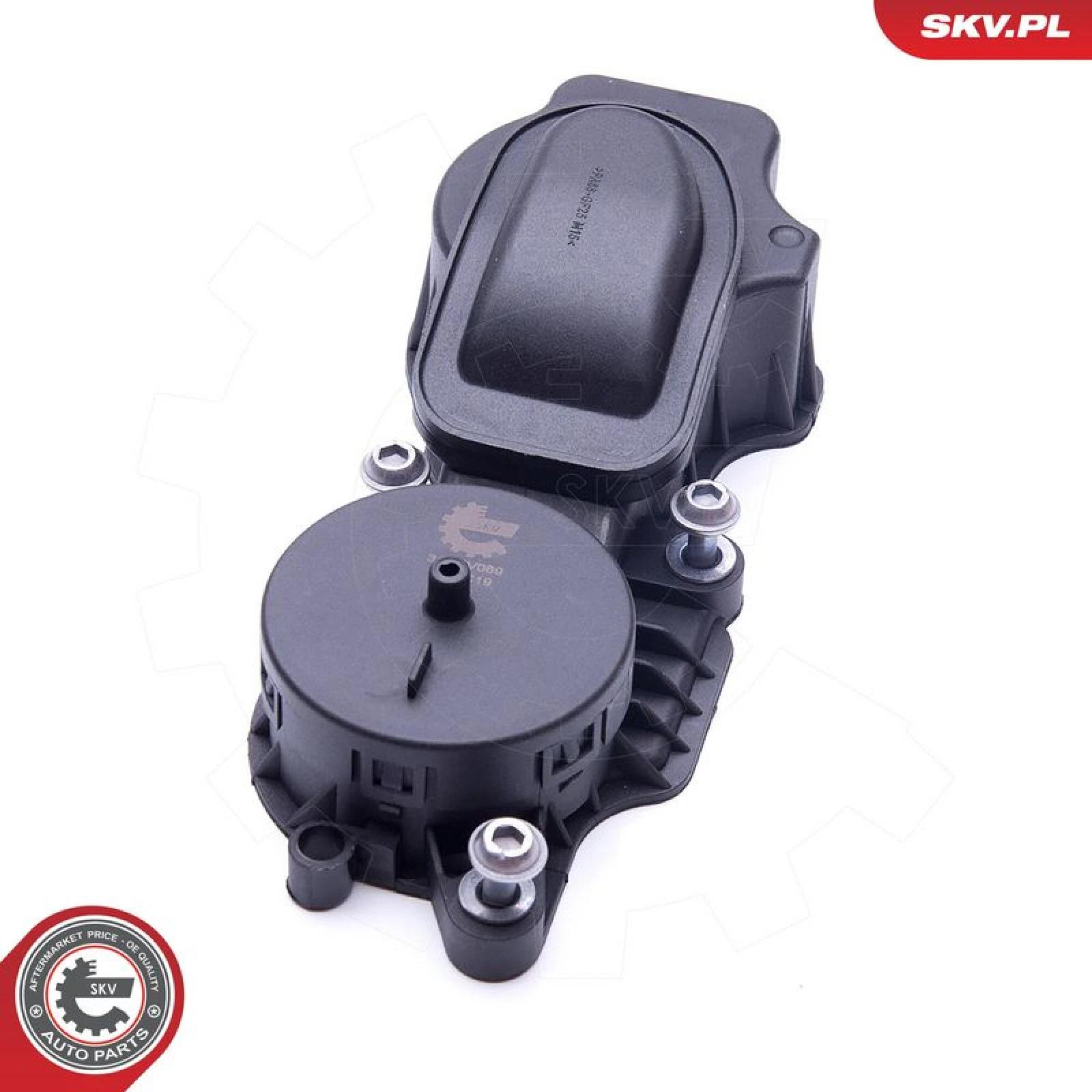 SKV GERMANY Ventil 31SKV069