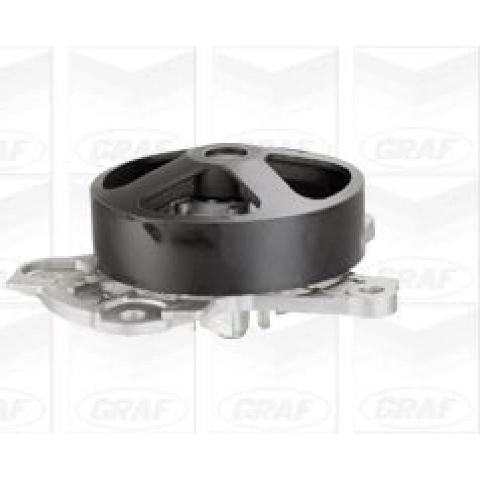 PA 1134 Wasserpumpe PA1134