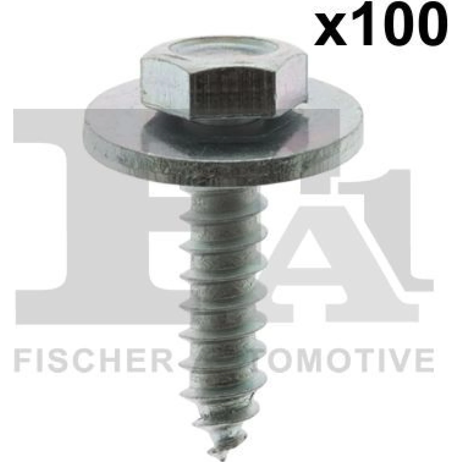 FA1 Schraube 12-70002.100