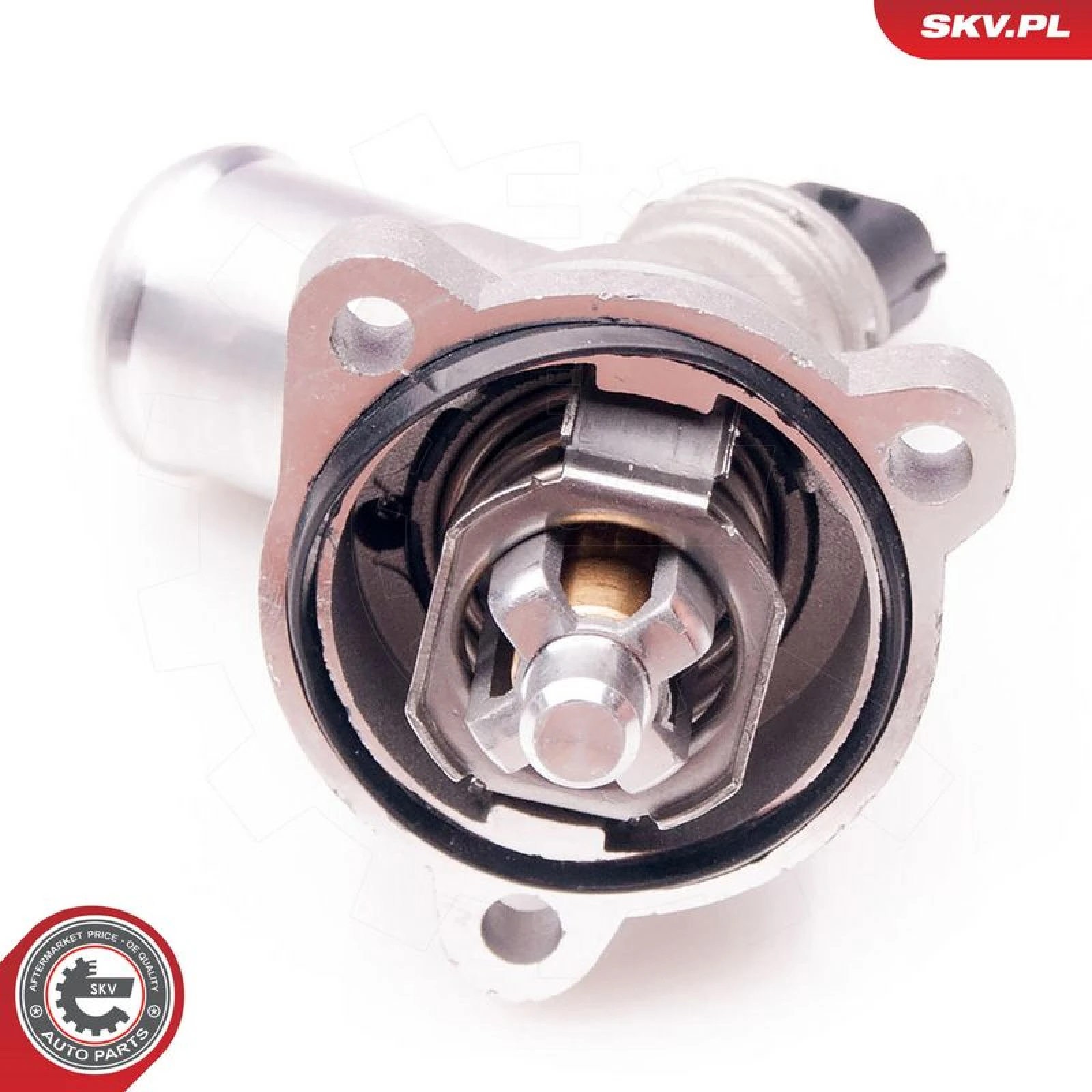 SKV GERMANY Thermostat 20SKV065