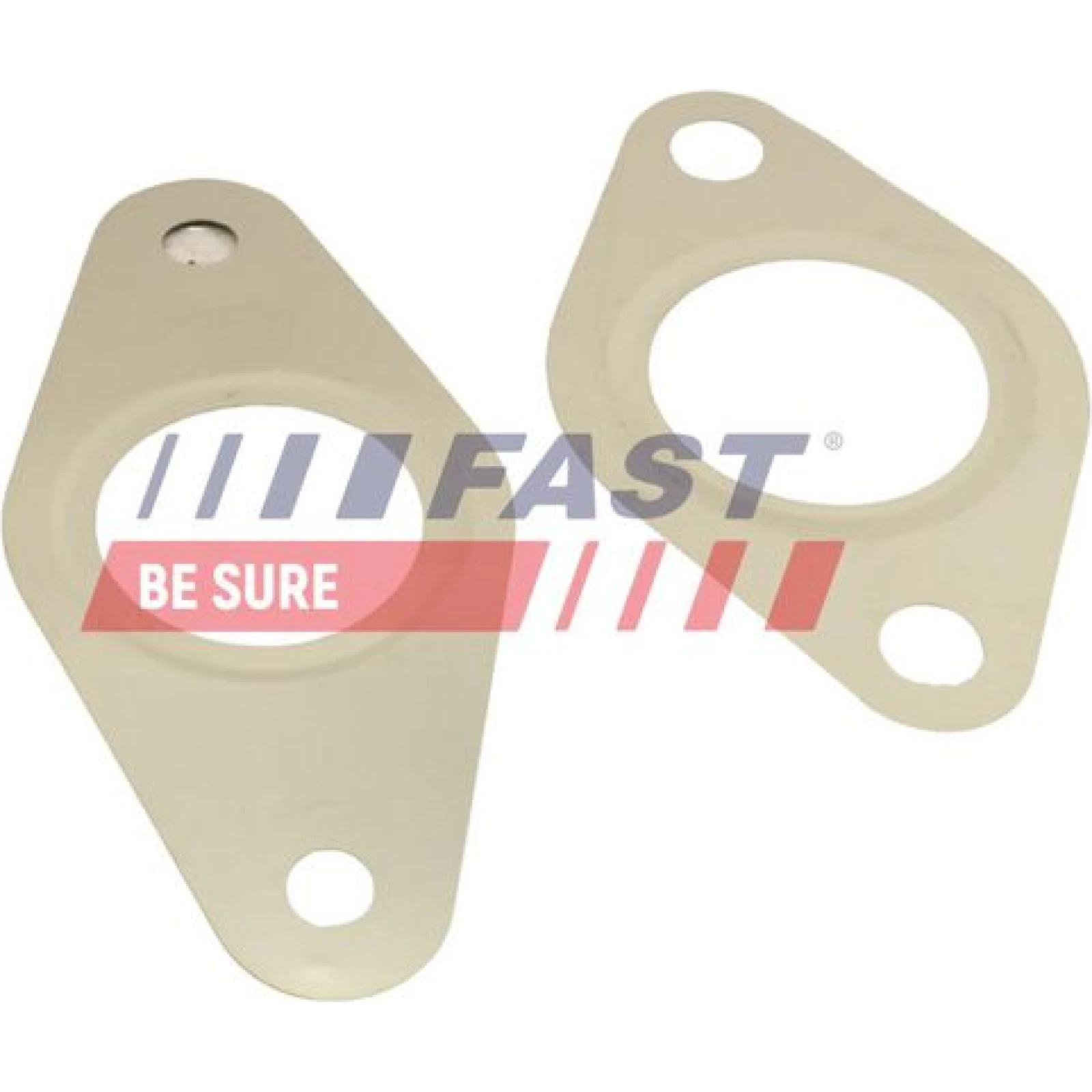 FAST Dichtungssatz, AGR-System FT50621