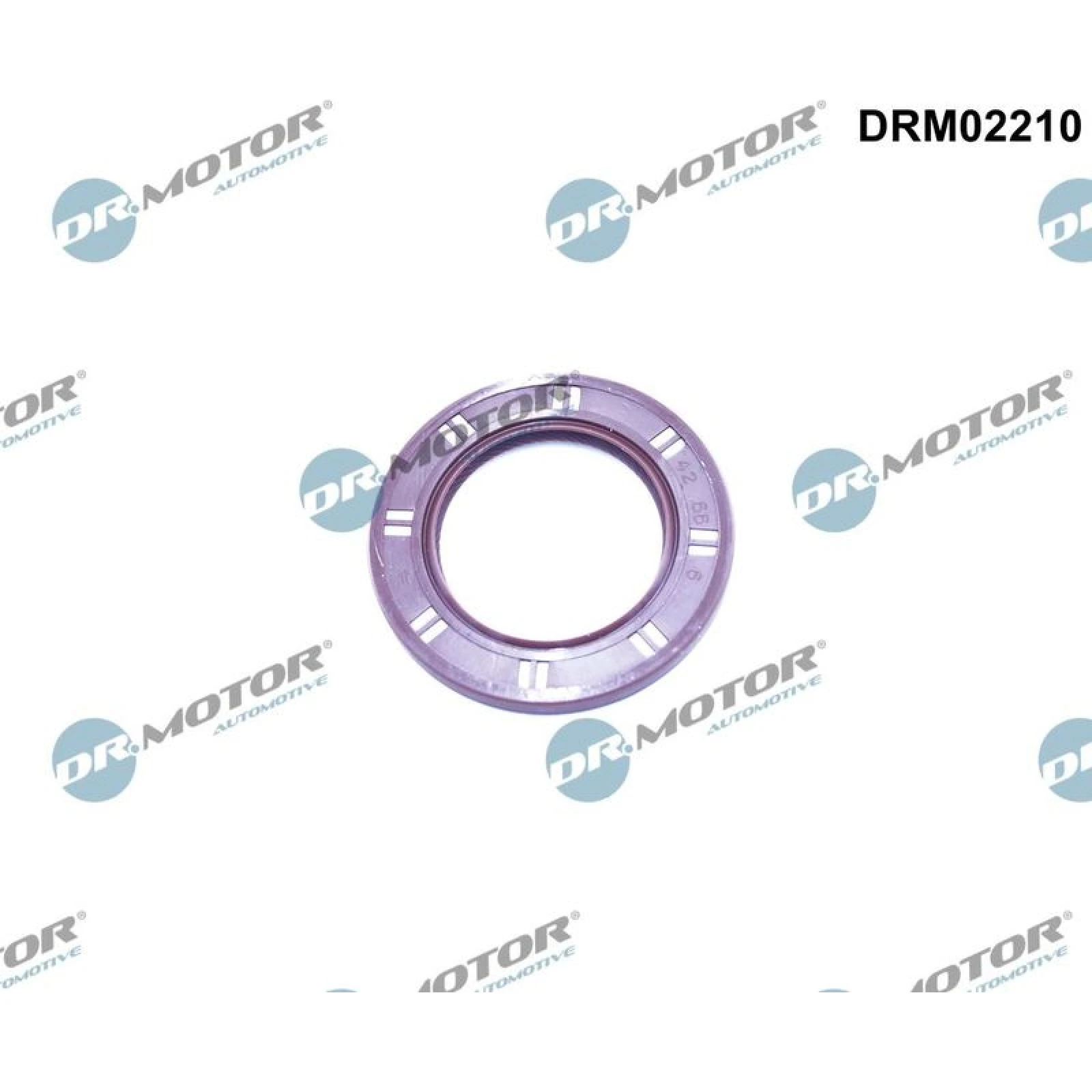 WELLENDICHTRING, KURBELWELLE DRM02210