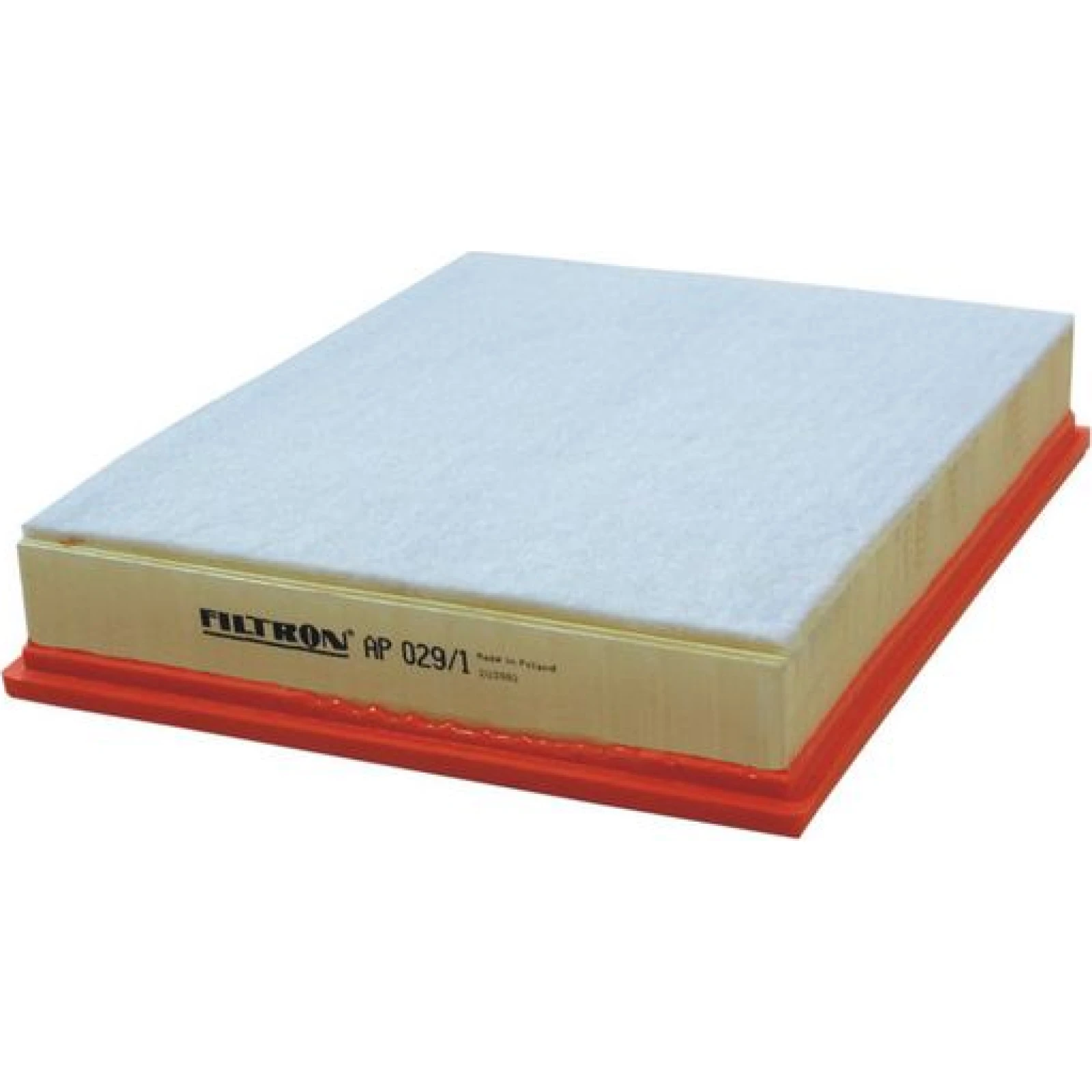 FILTRON Luftfilter AP 029/1