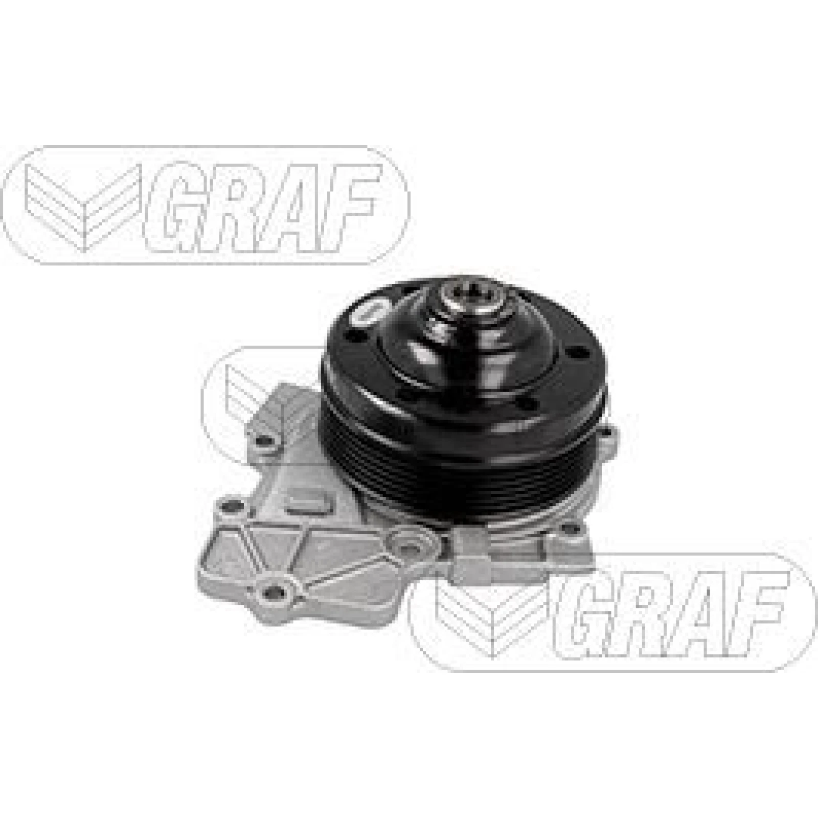 PA 1255 Wasserpumpe PA1255