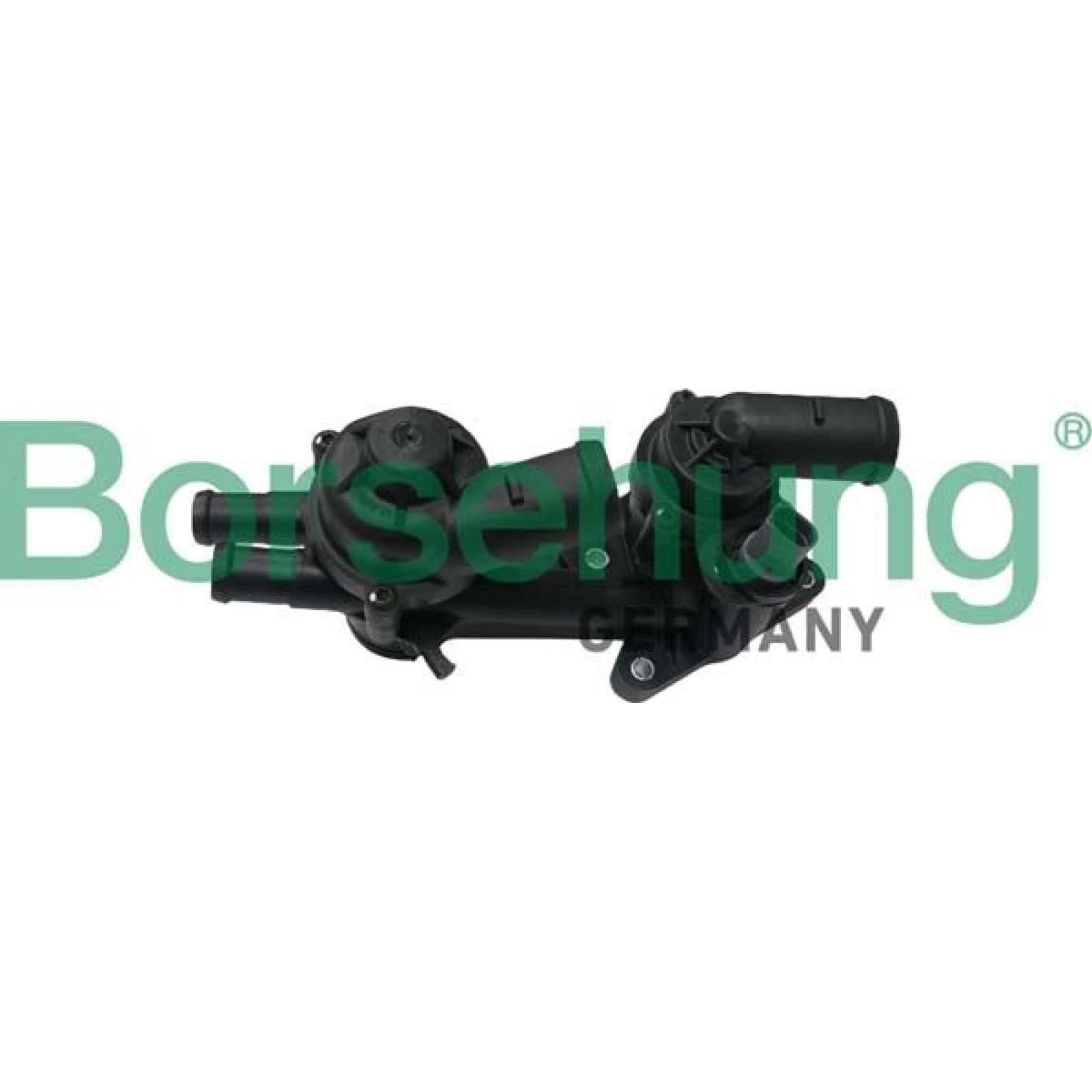 BORSEHUNG Thermostat B18249
