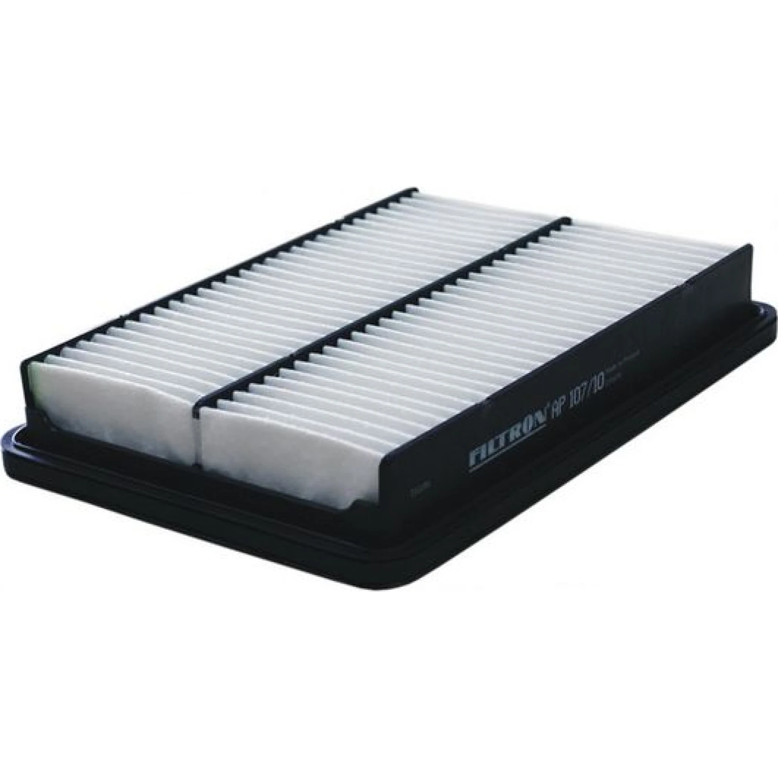 FILTRON Luftfilter AP 107/10