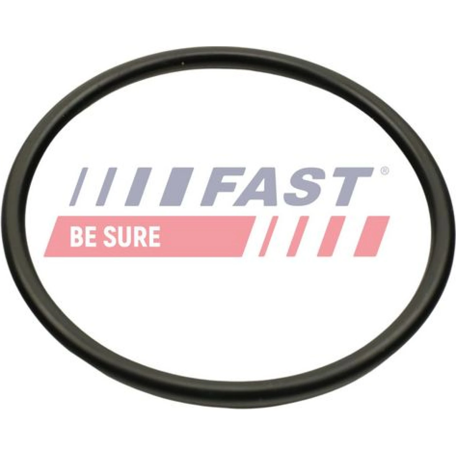 FAST Dichtung, Ansaugkrümmer FT49460