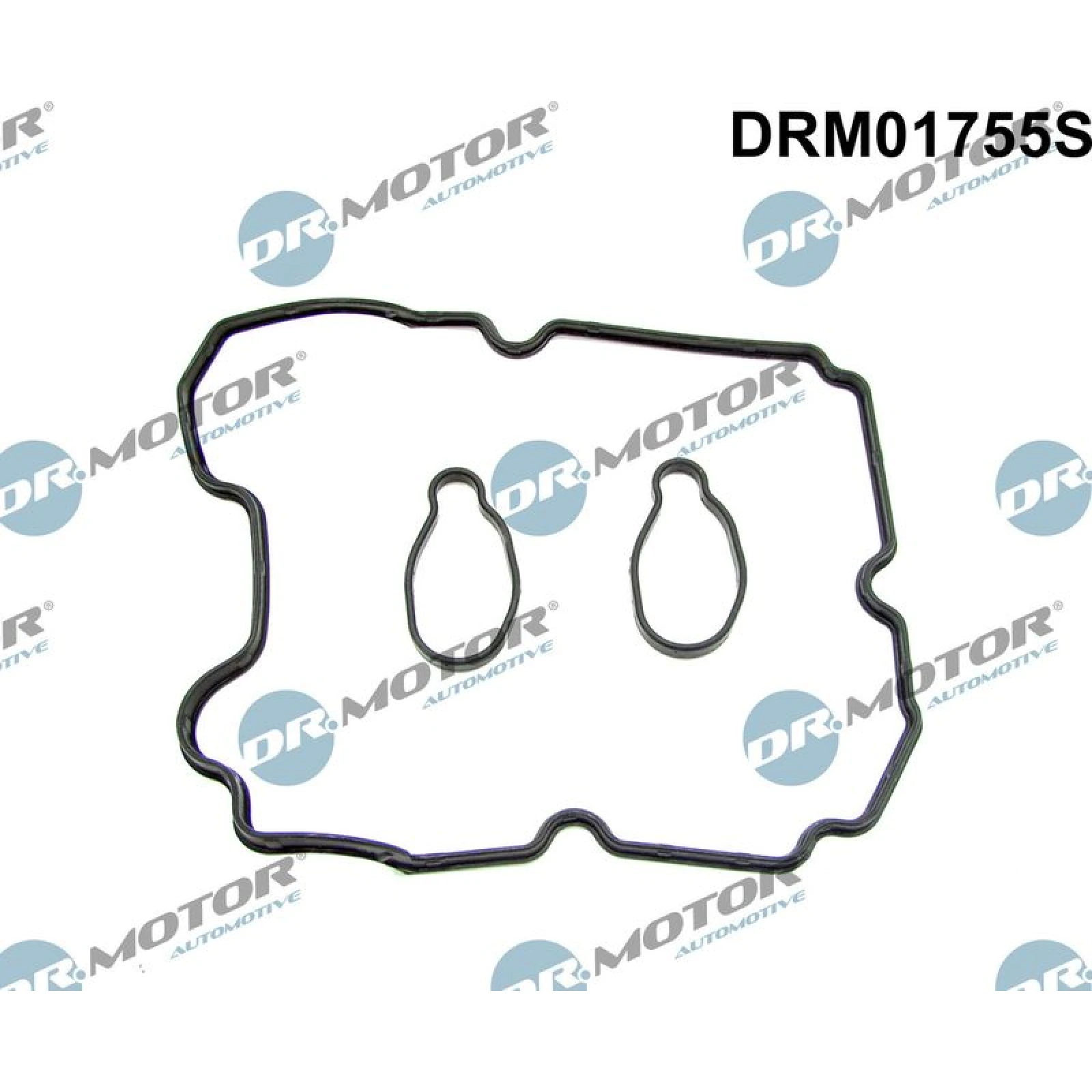 Dichtungssatz, Zylinderkopfhaube DRM01755S