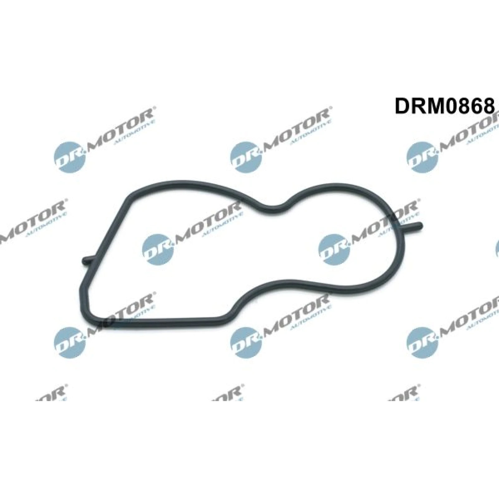 Dichtung, Unterdruckpumpe DRM0868