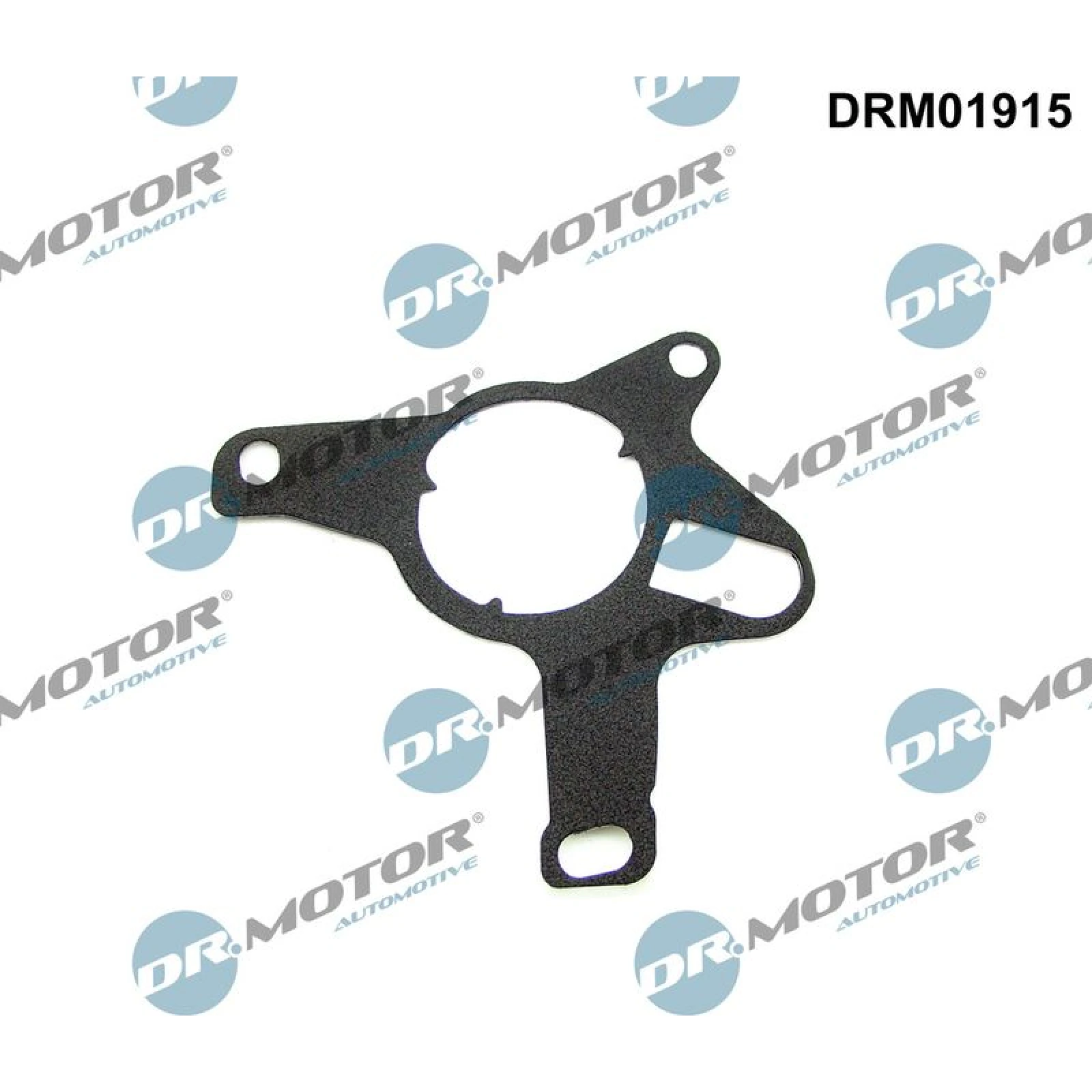 Dichtung, Unterdruckpumpe DRM01915