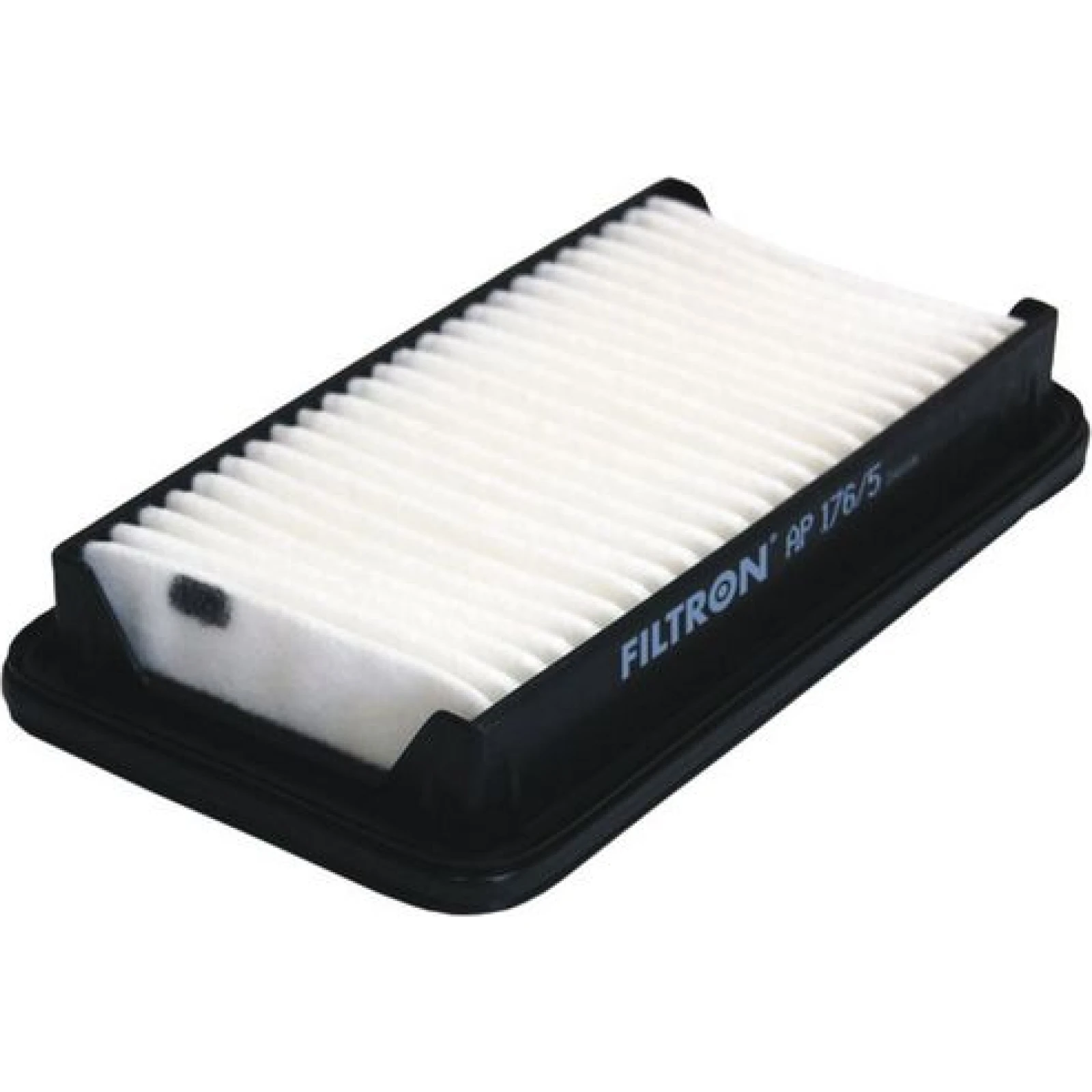 FILTRON Luftfilter AP 176/5