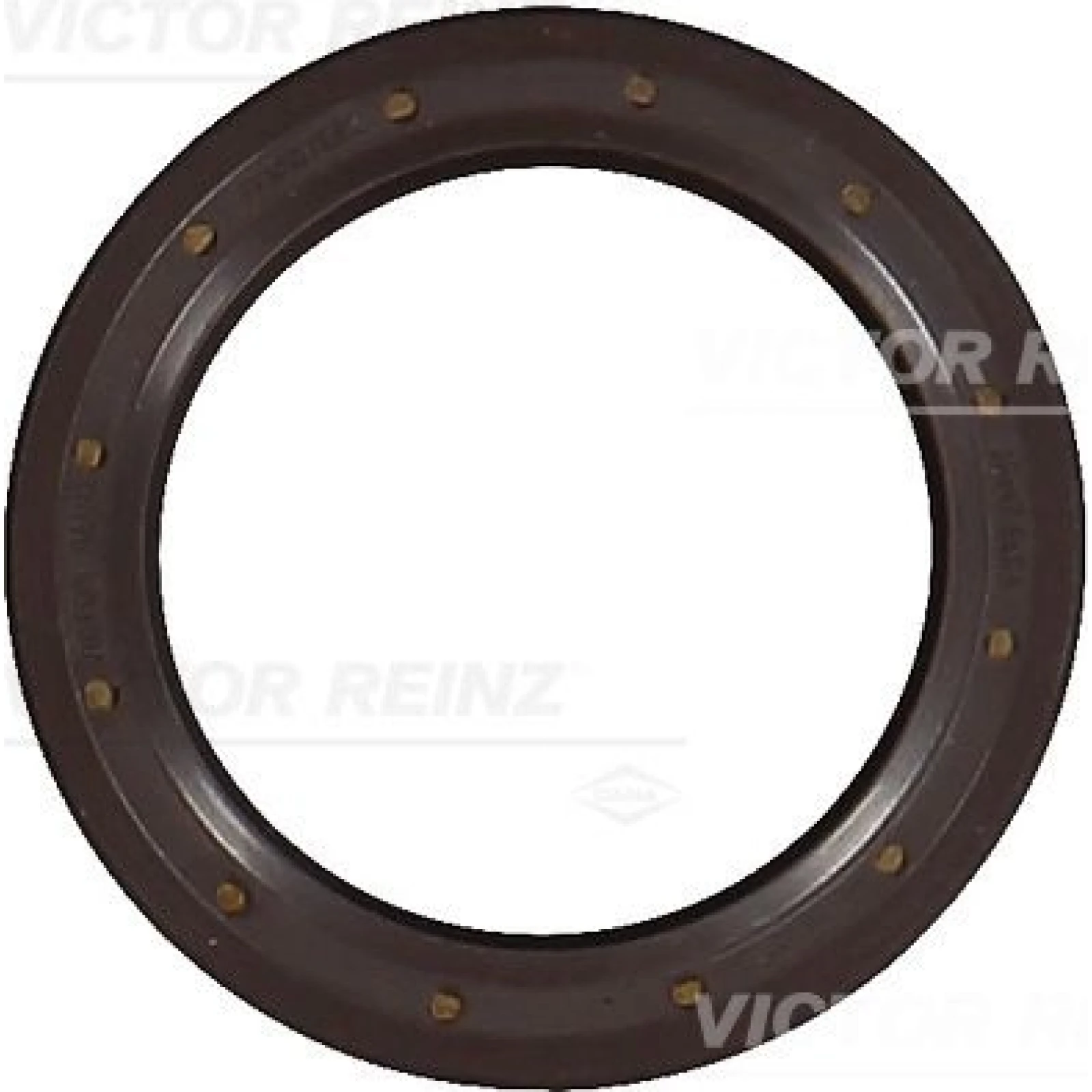 Wellendichtring, Kurbelwelle 81-10591-00