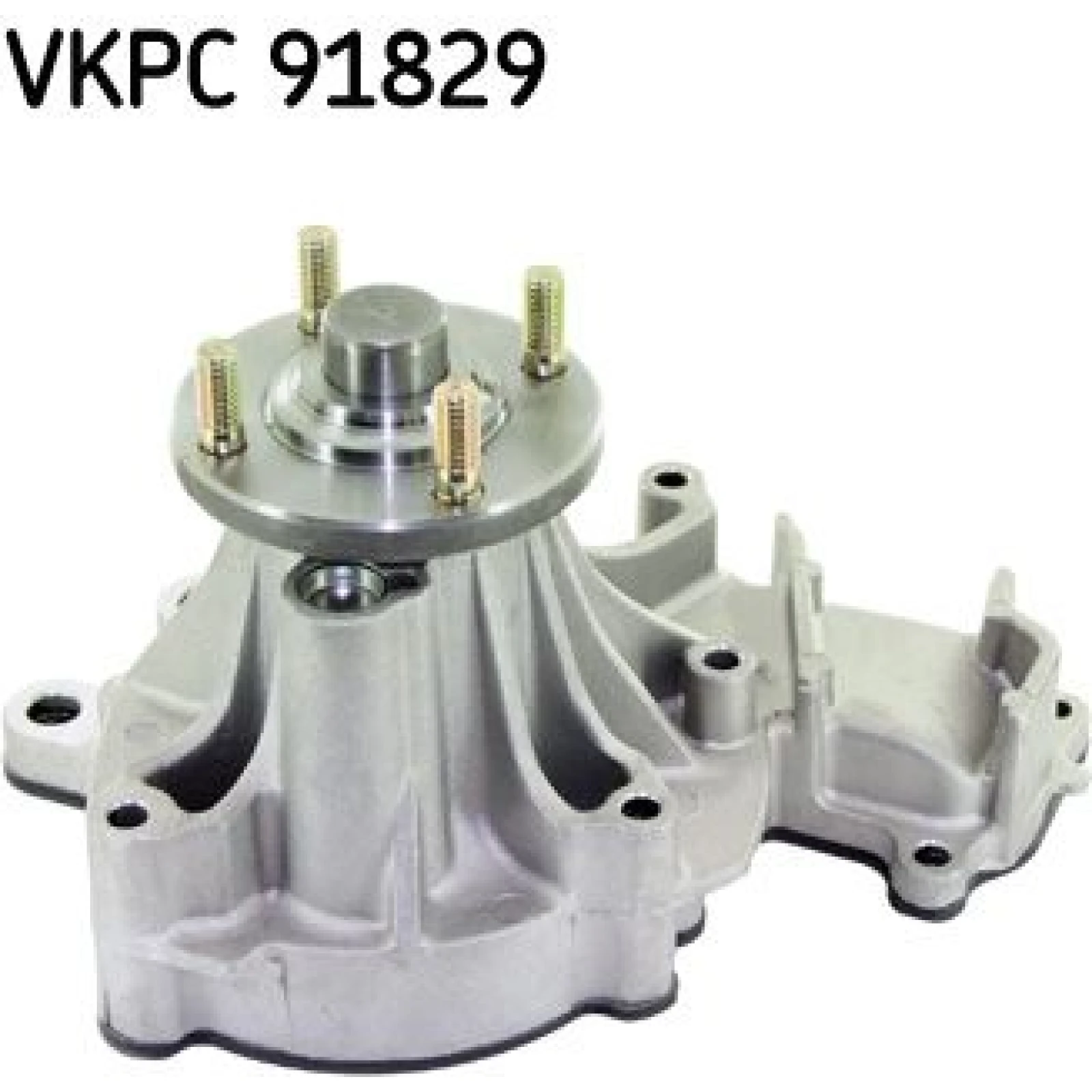 SKF Wasserpumpe VKPC 91829