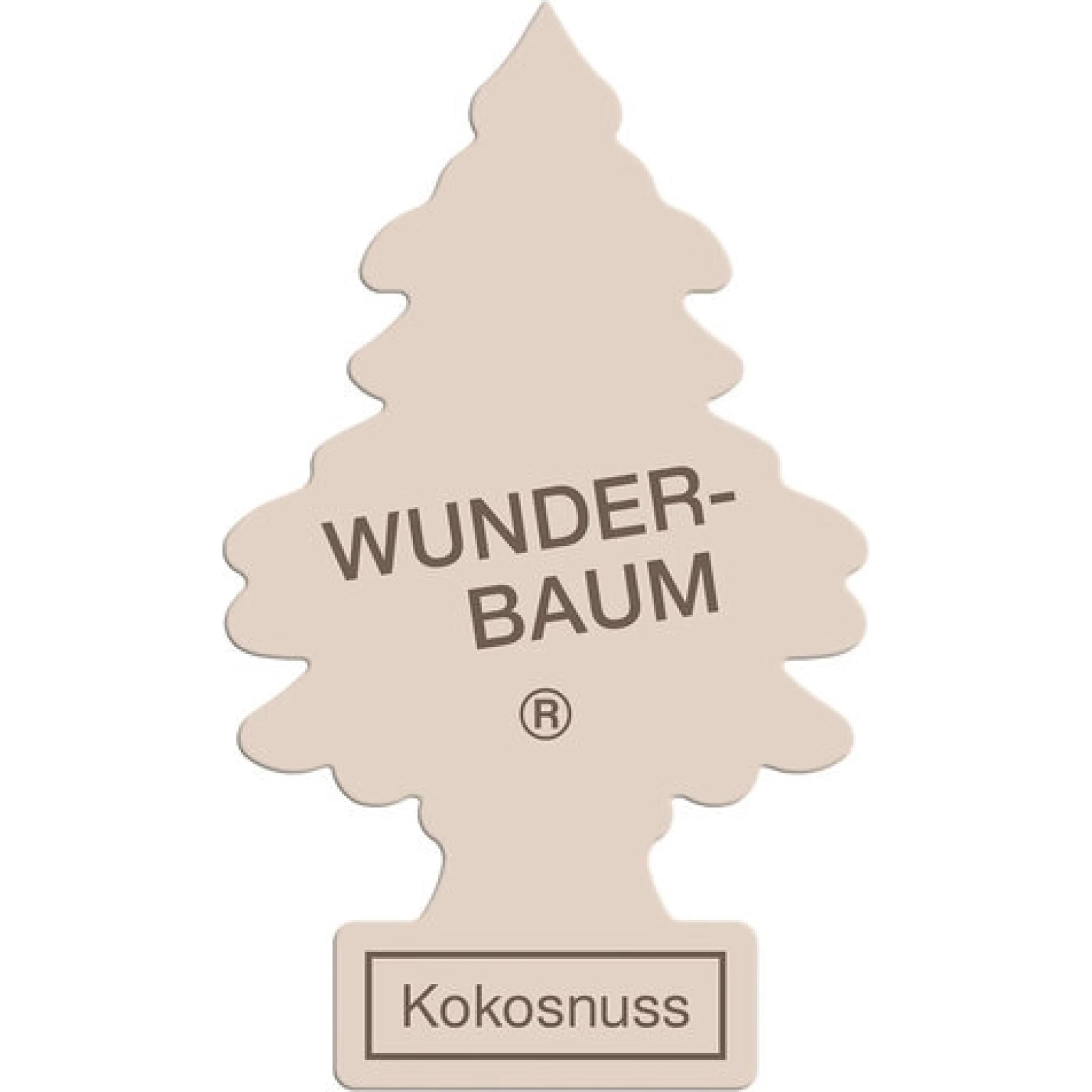 Wunderbaum Kokosnuss 1 Stk 88950404