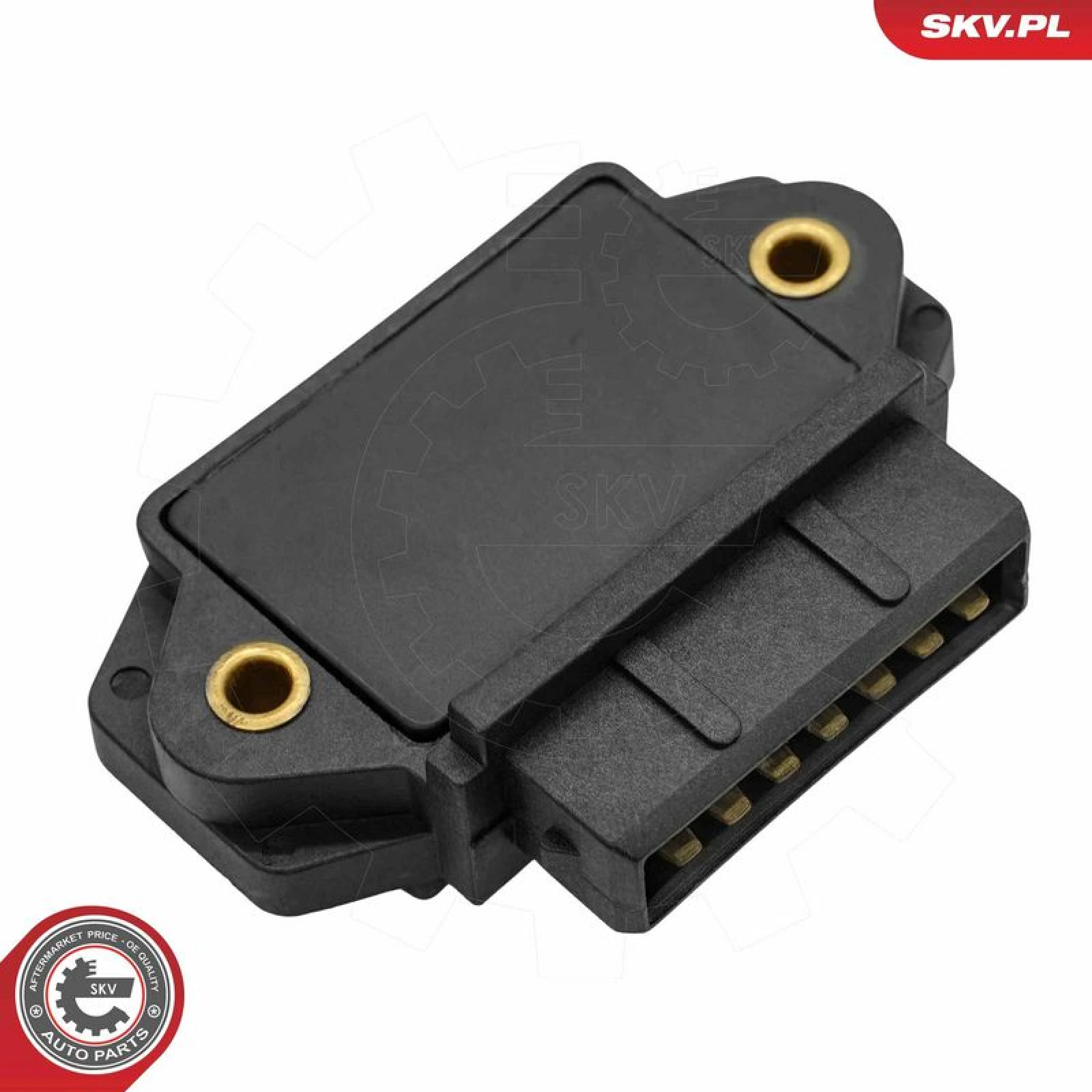 SKV GERMANY Steuereinheit 03SKV904
