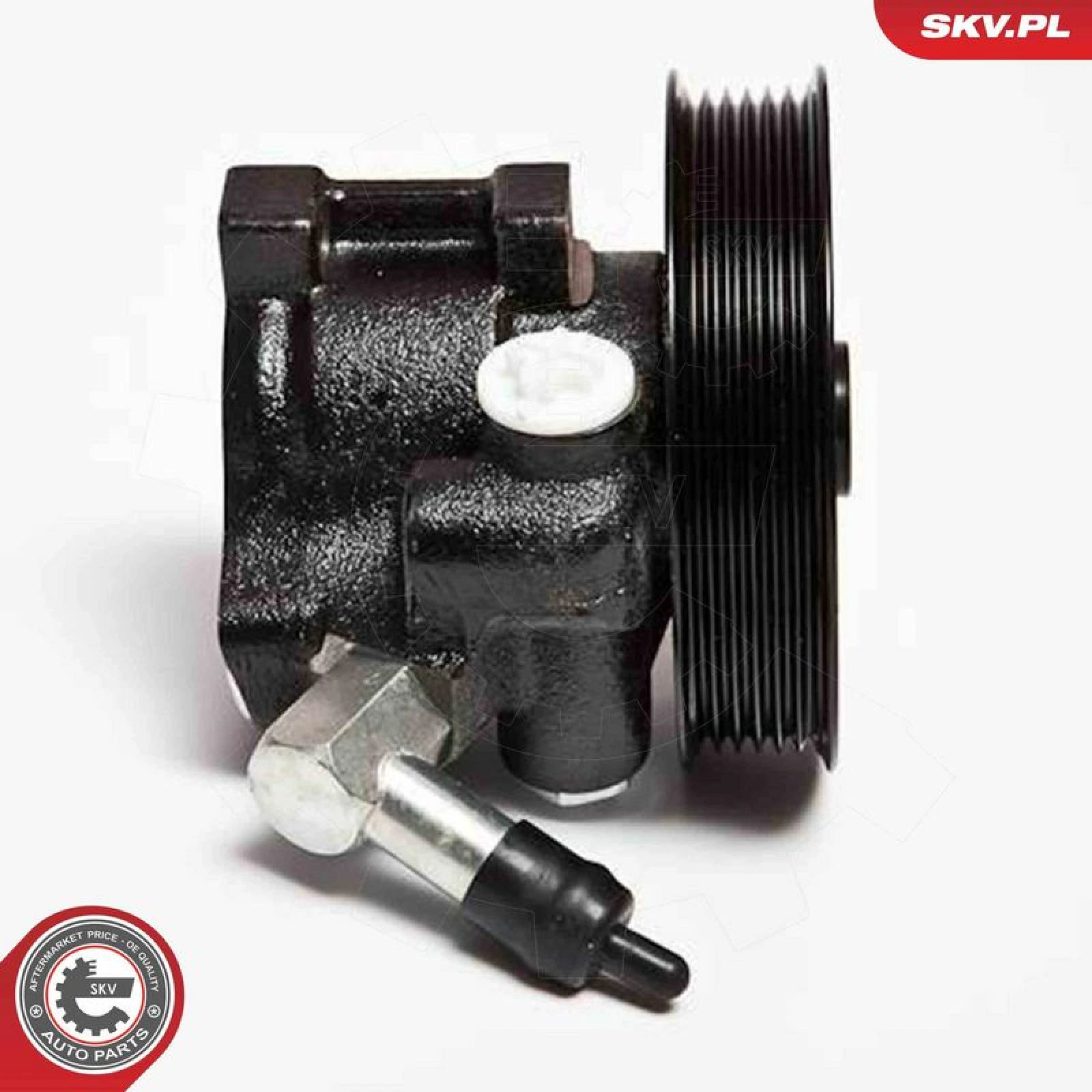SKV GERMANY Hydraulikpumpe 10SKV066