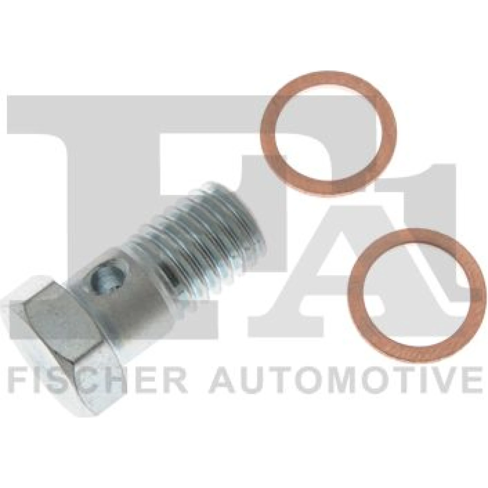 FA1 Schrauben 989-10-009.021
