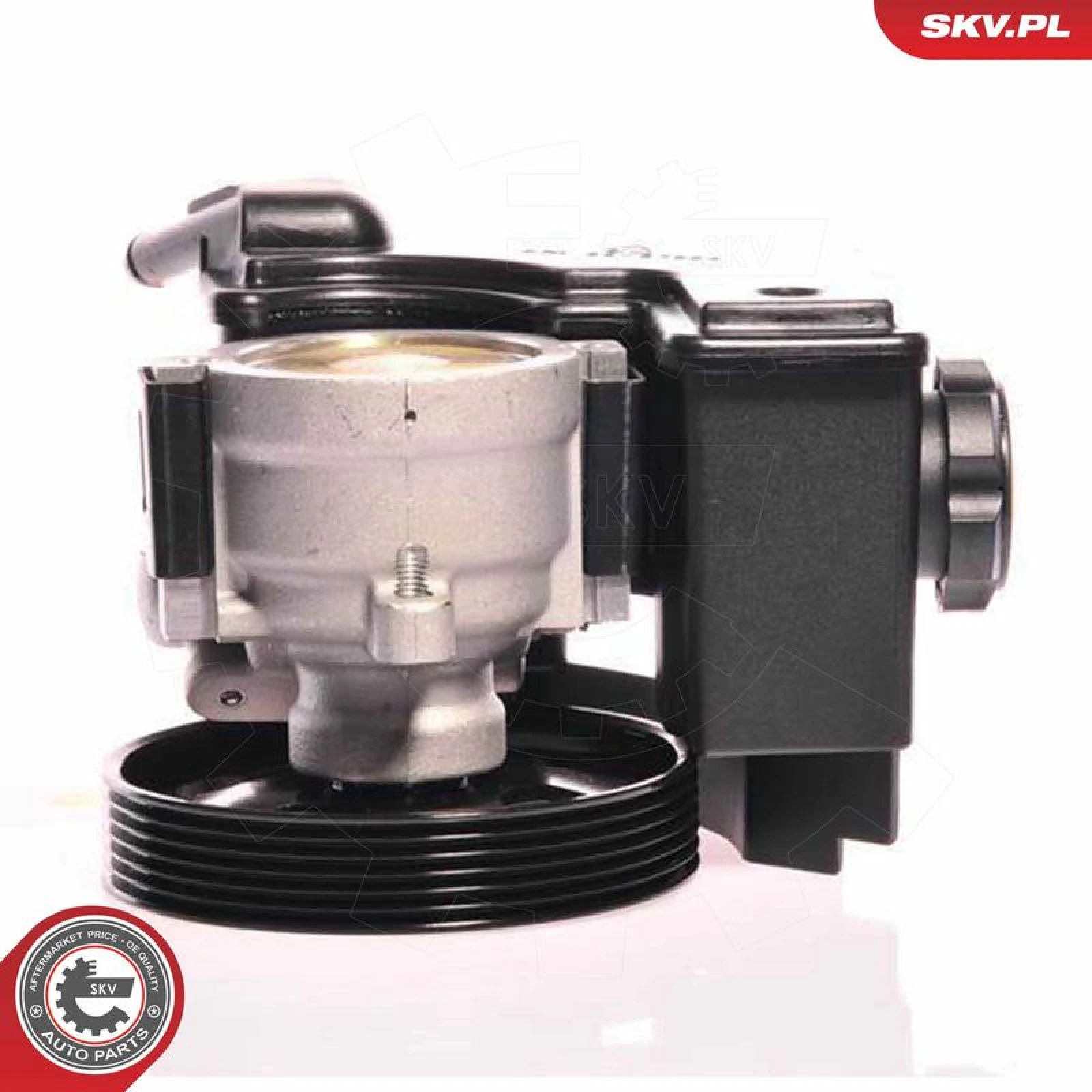 SKV GERMANY Hydraulikpumpe 10SKV153